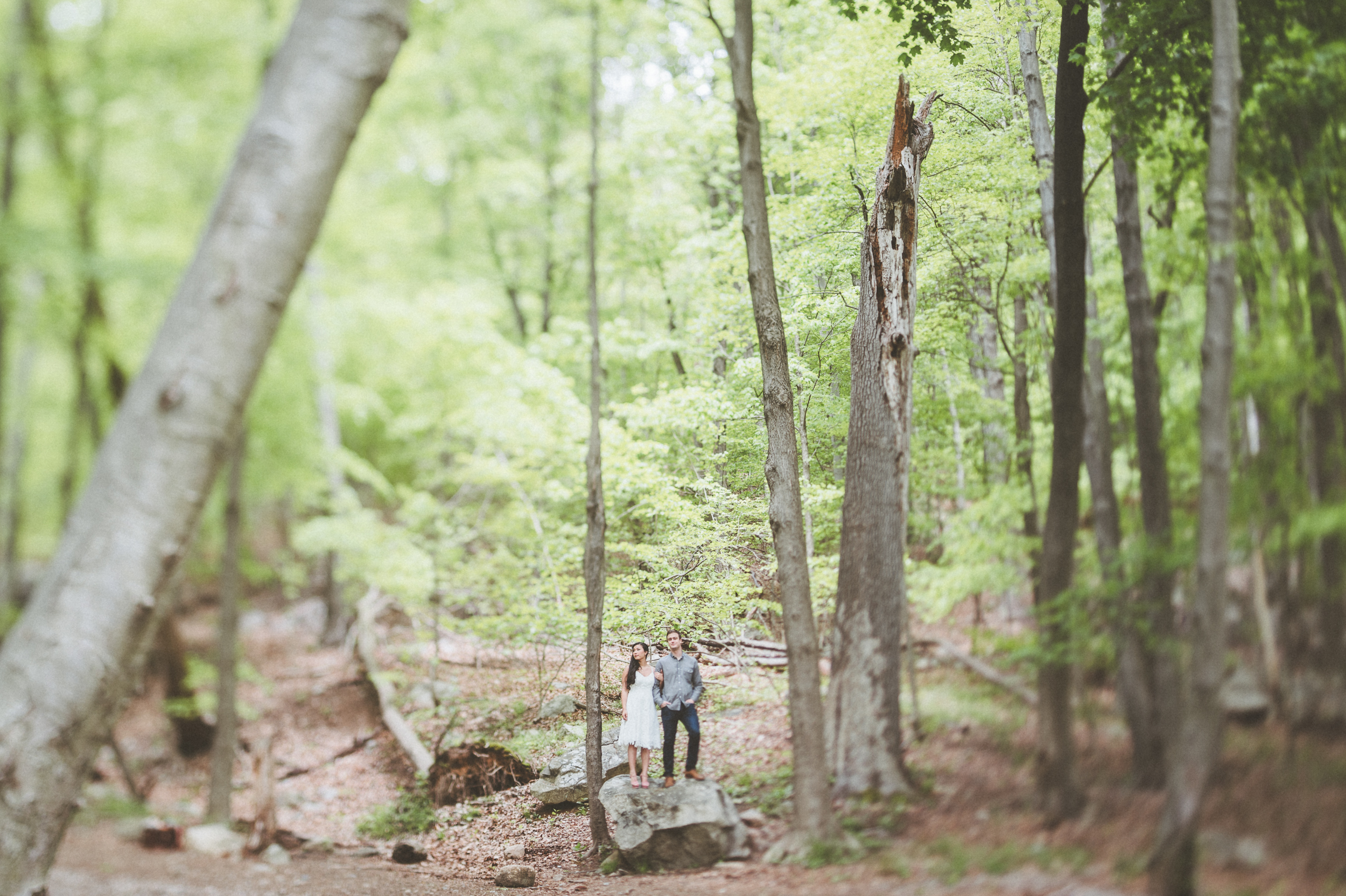 paper antler - alexandra + josh  -  0019.jpg