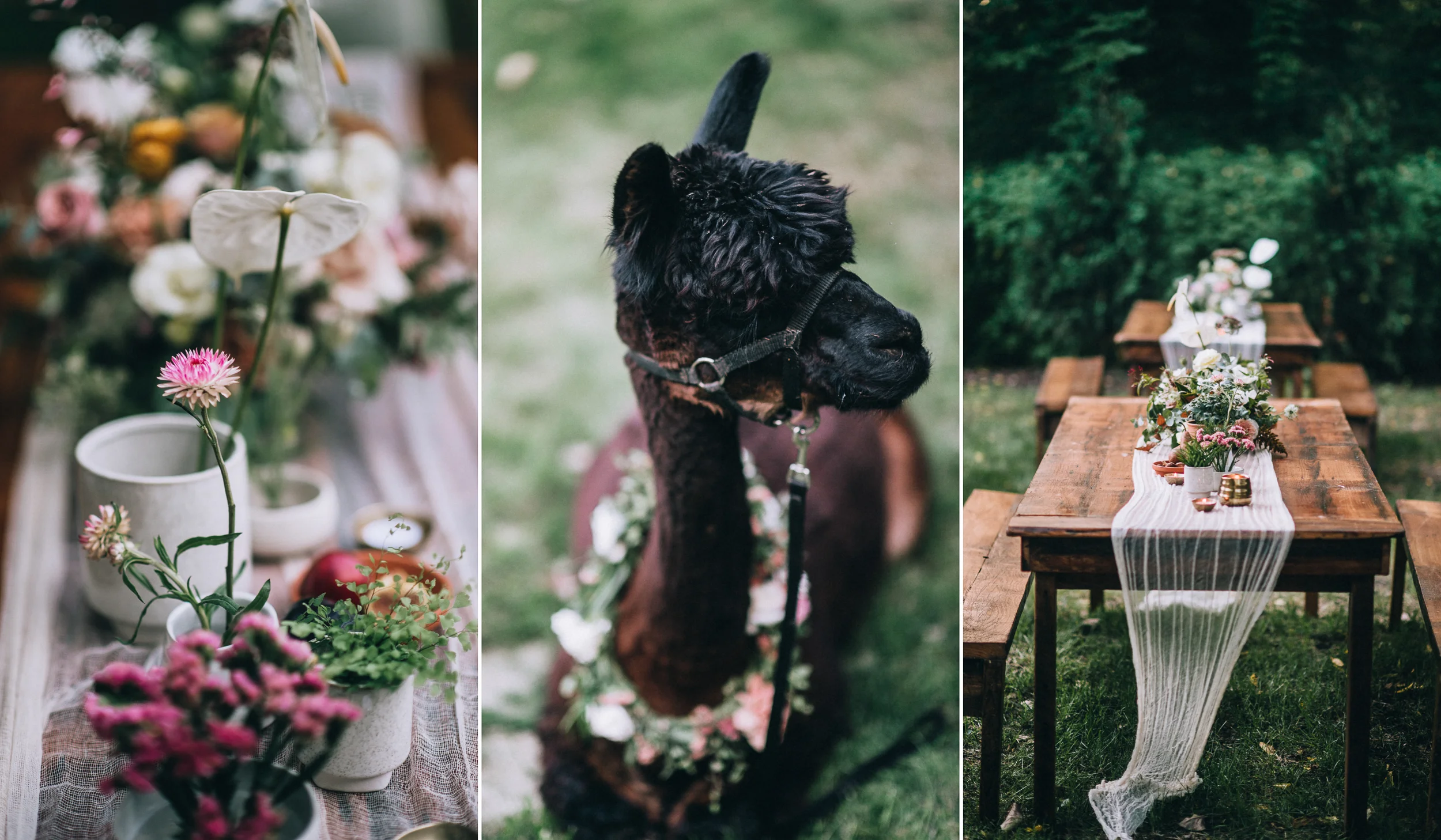 10-year - paper antler  -  0002.jpg