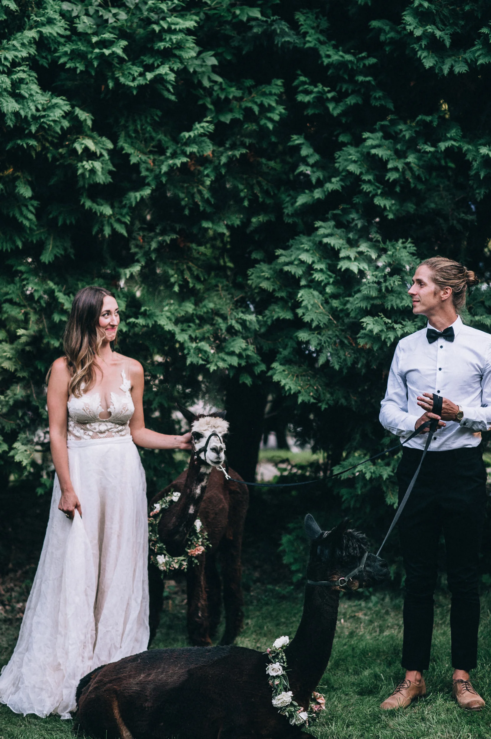 10-year - paper antler  -  0031.jpg