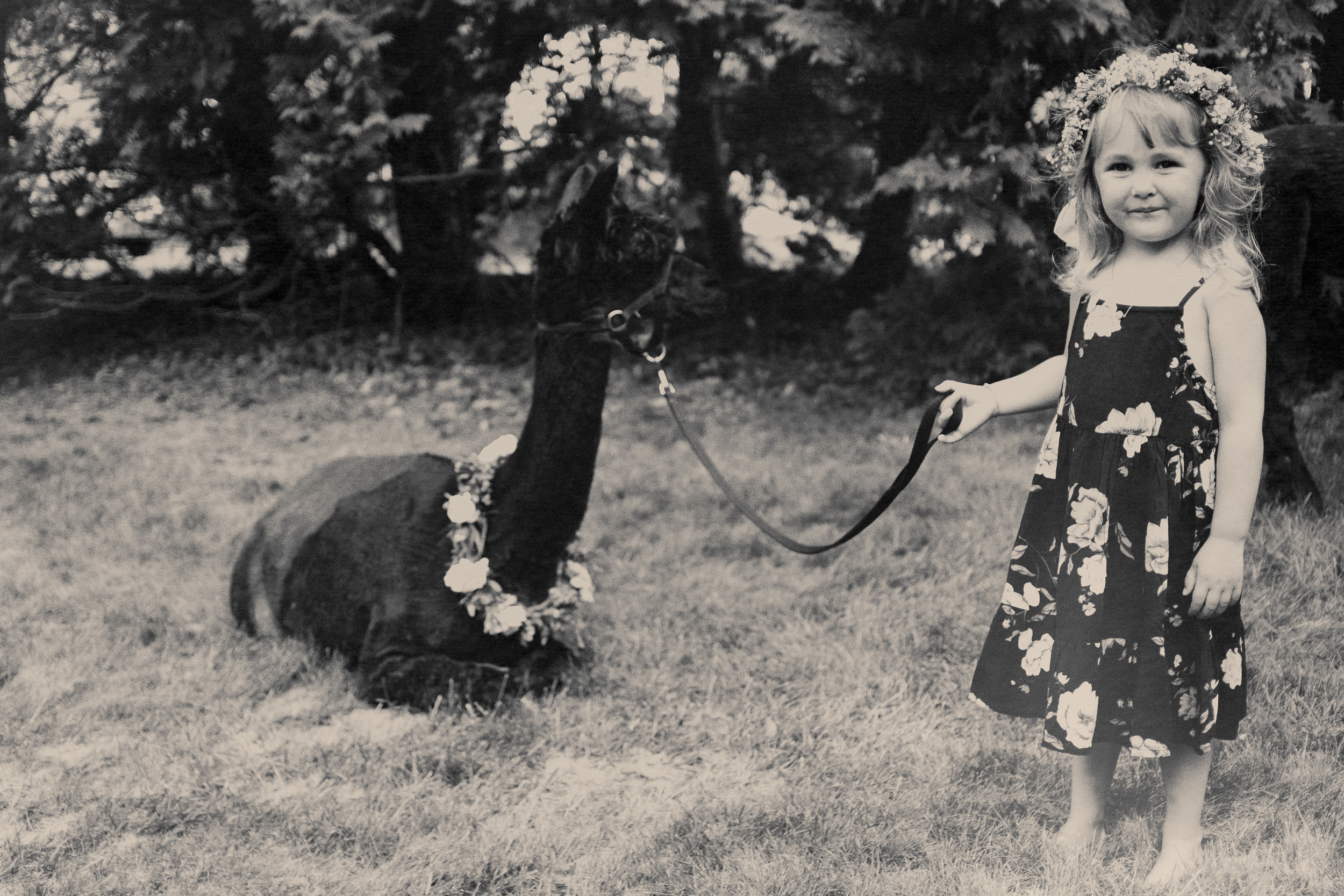 10-year - paper antler  -  0033.jpg