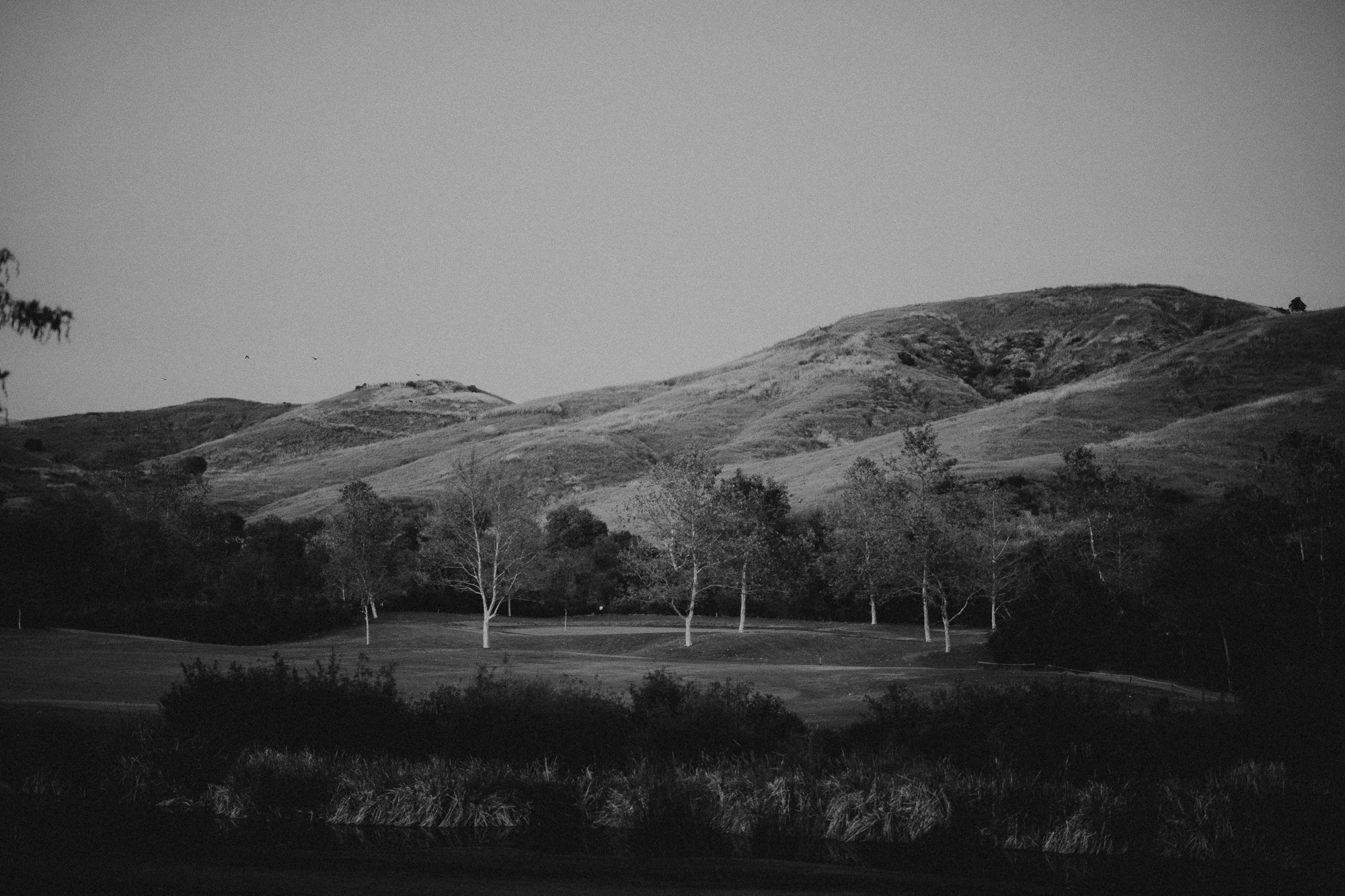 paper antler - laguna hills - 0045.jpg