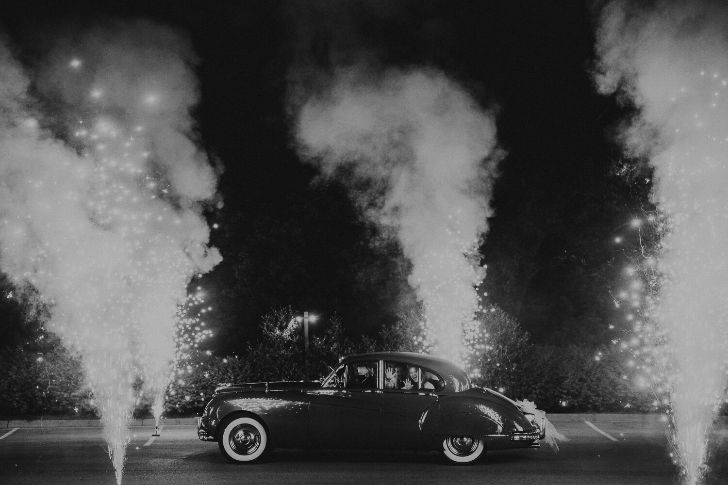 2020 - Year in Photos