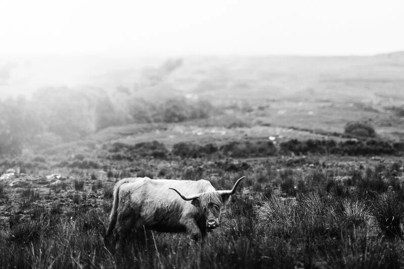 Highland Ranger