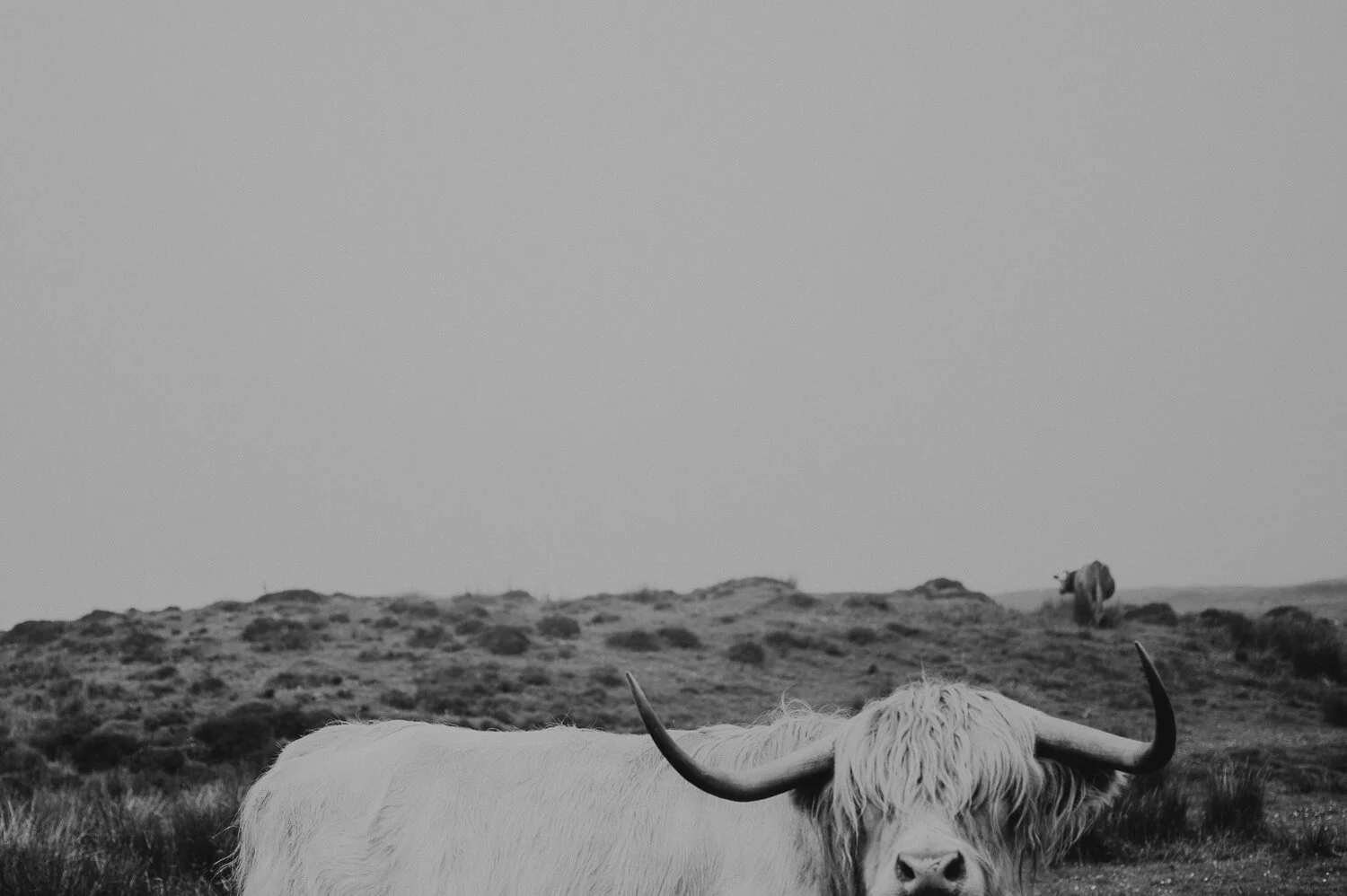 Highland Ranger 02