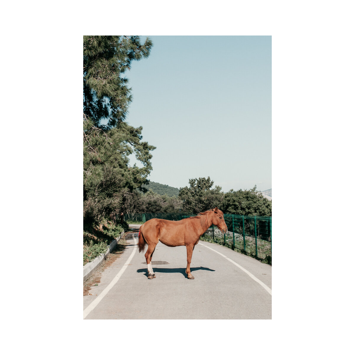 Roadblock