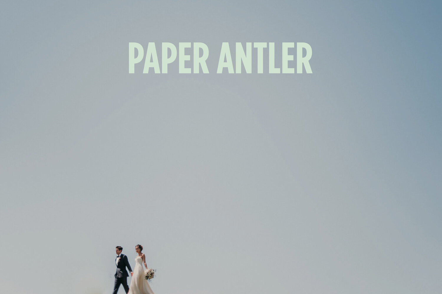 Paper Antler Fine Art Wedding Photography, Antler 