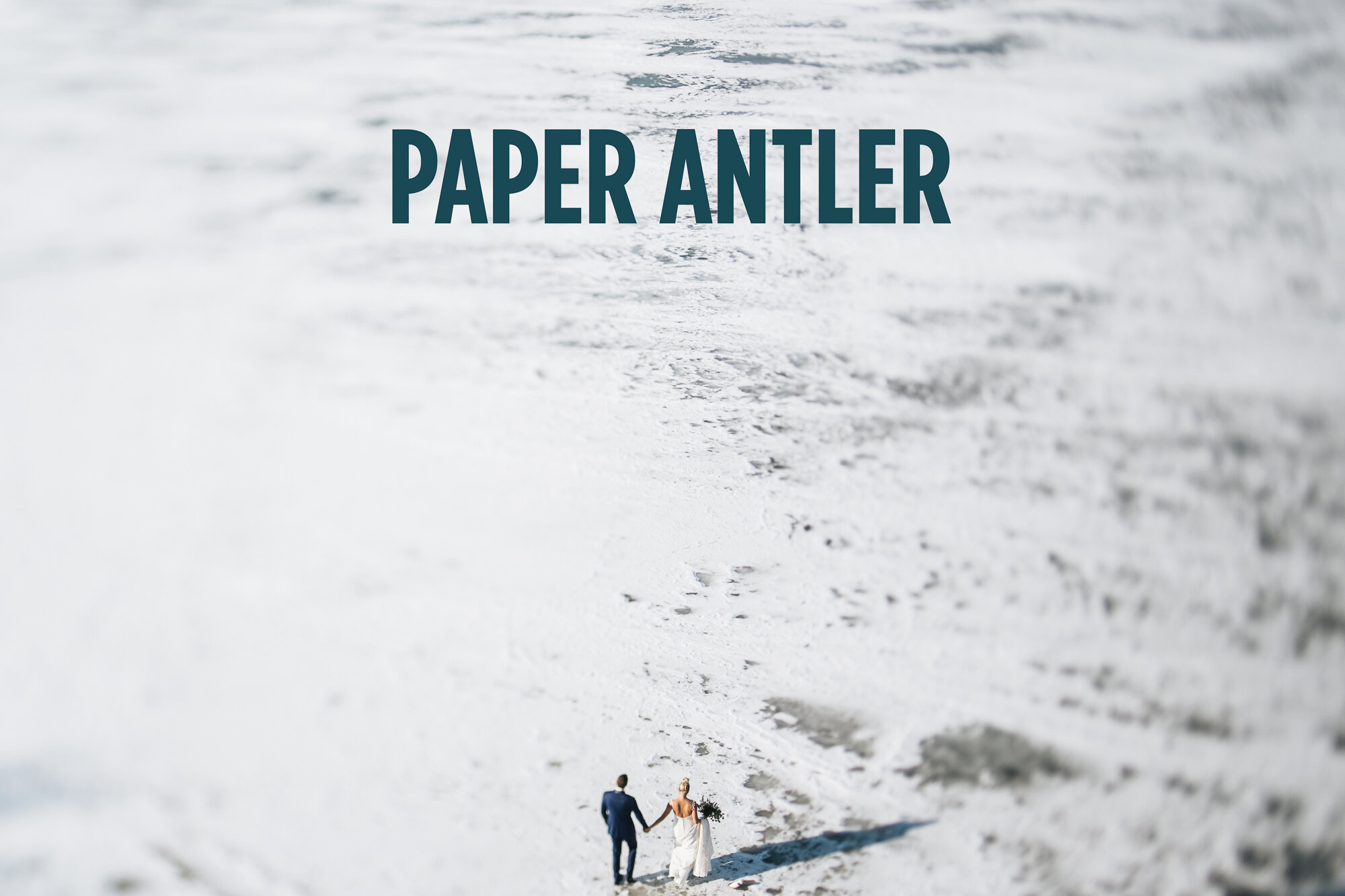 paper antler home - 0016.jpg