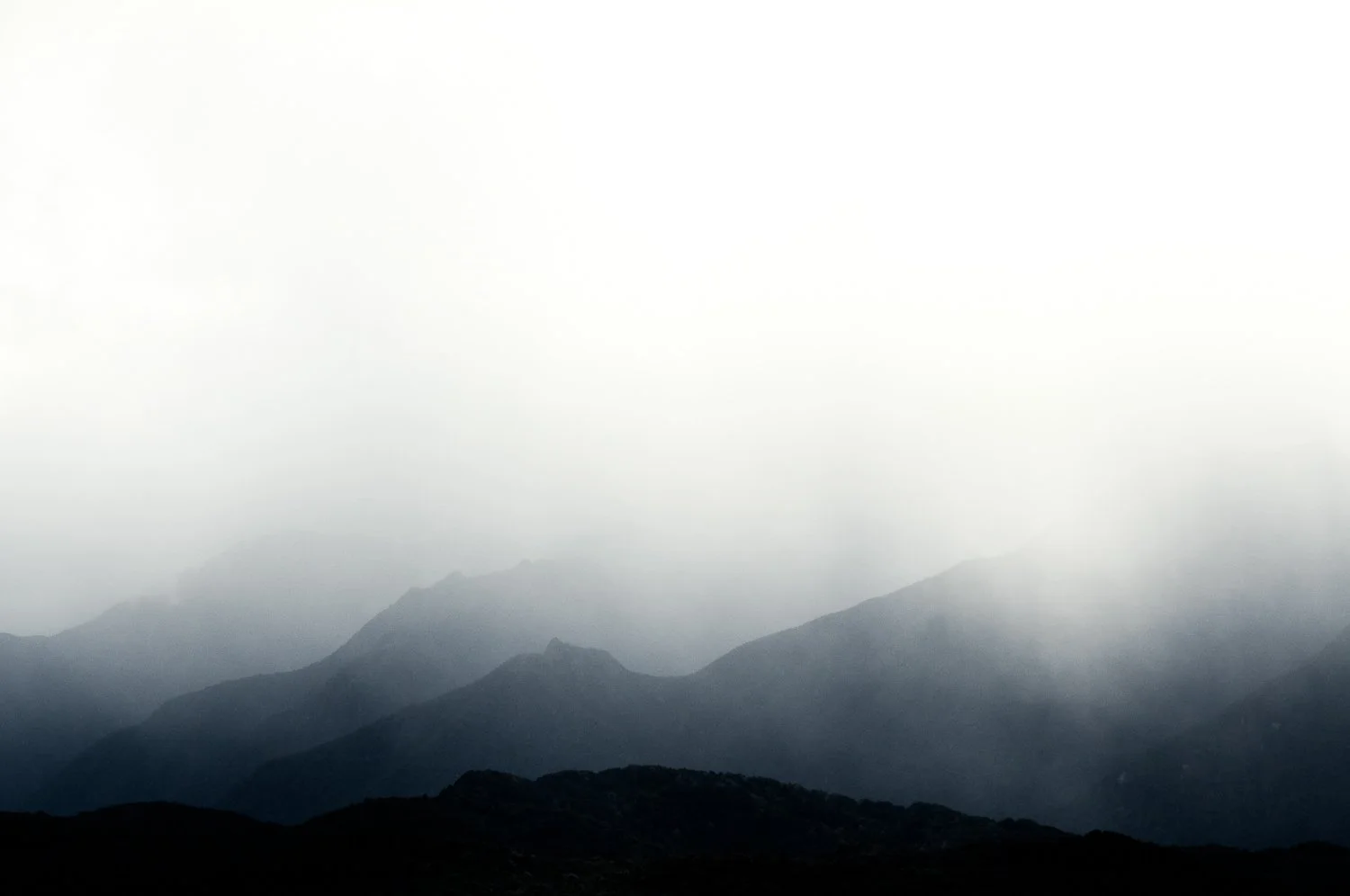 The Wild is Calling. Let Us Go.