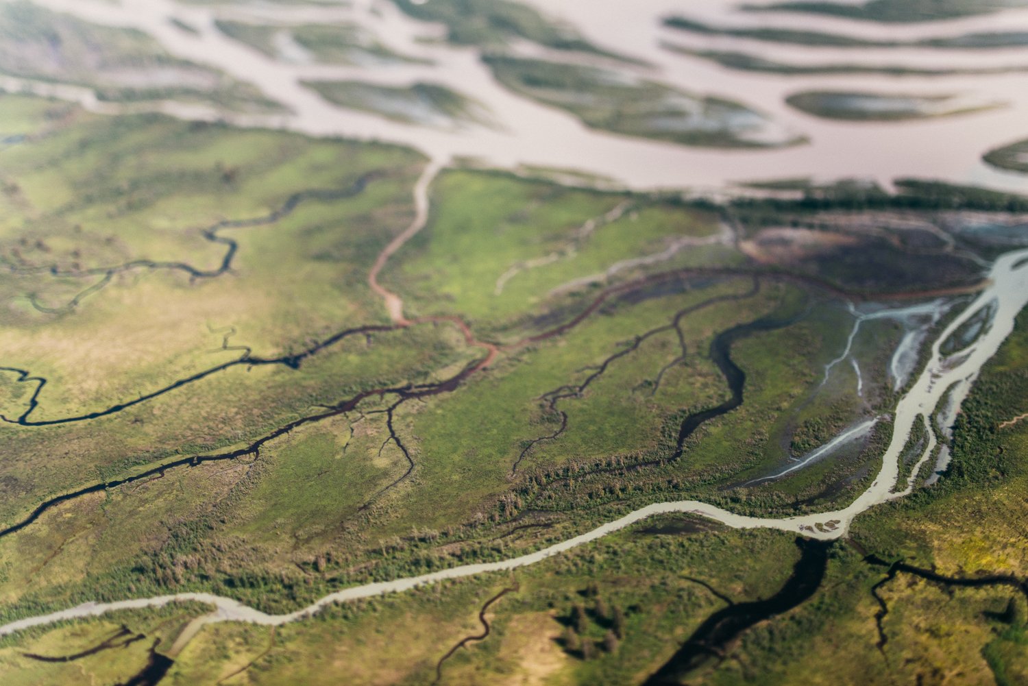 Veins of the Earth