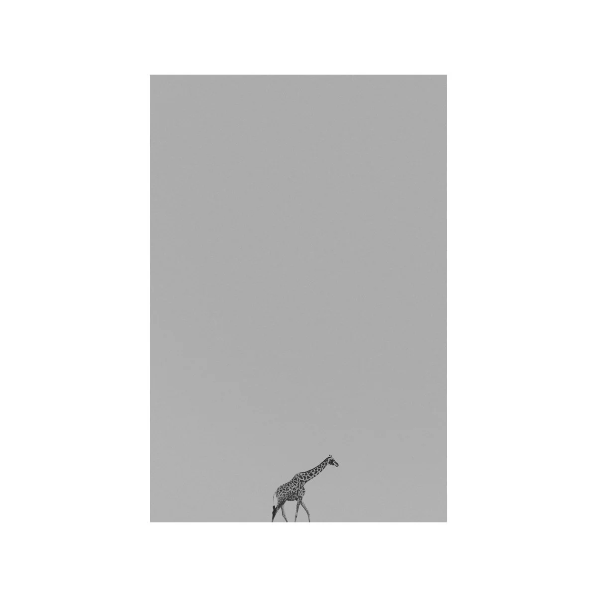 Lone Ranger