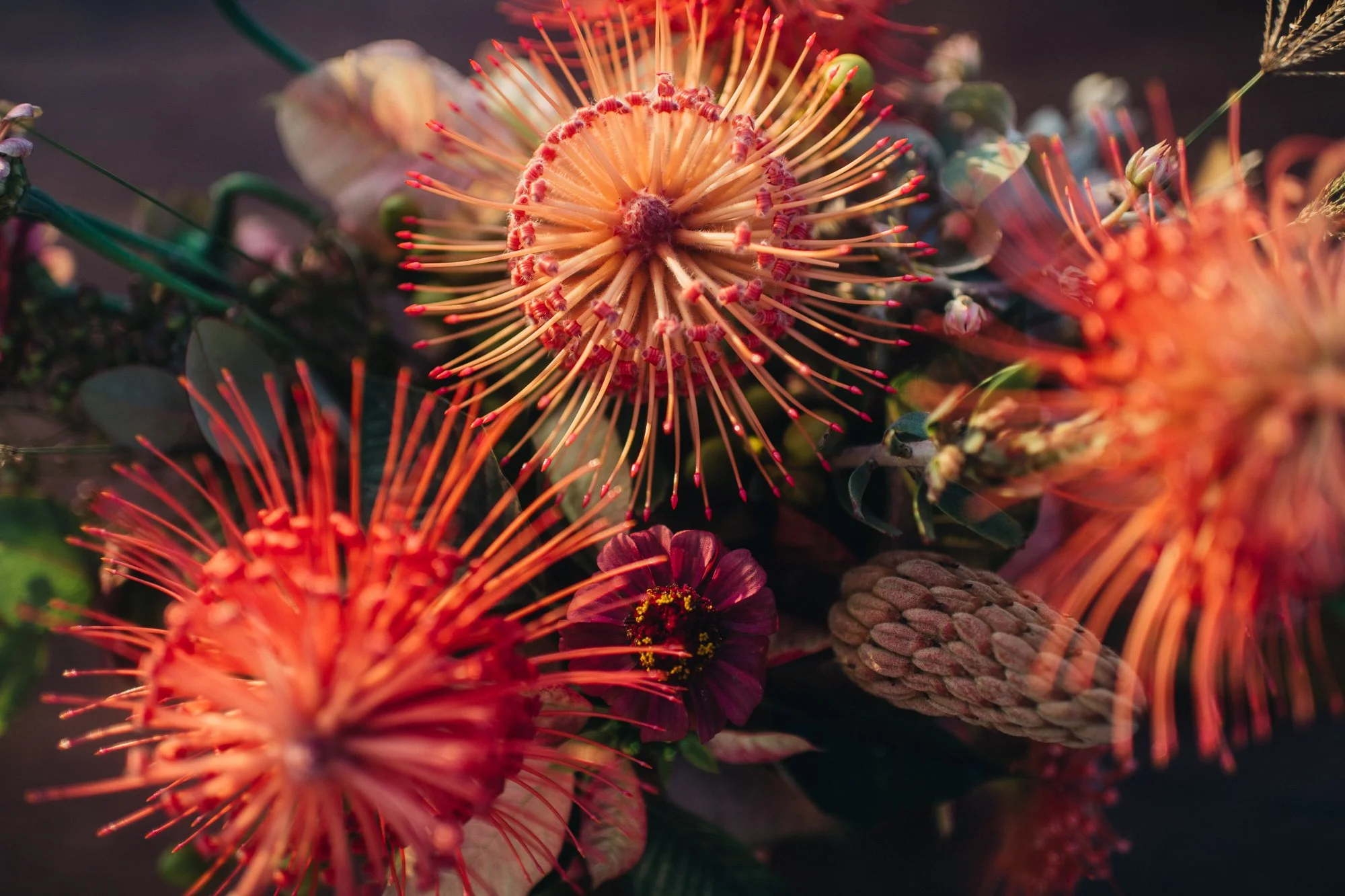 Maui Retreat: Darling Magazine x Alaska Air x Four Seasons x Paper Antler