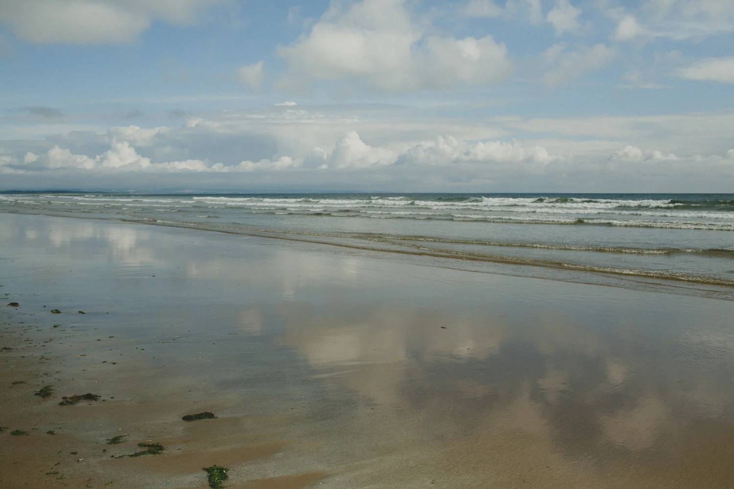 red-deer-photographer-scotland-beach-st-andrews.JPG