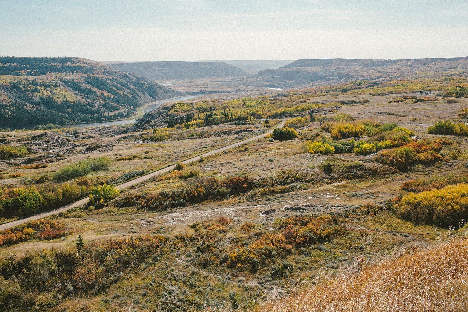 Dry Island Buffalo Jump