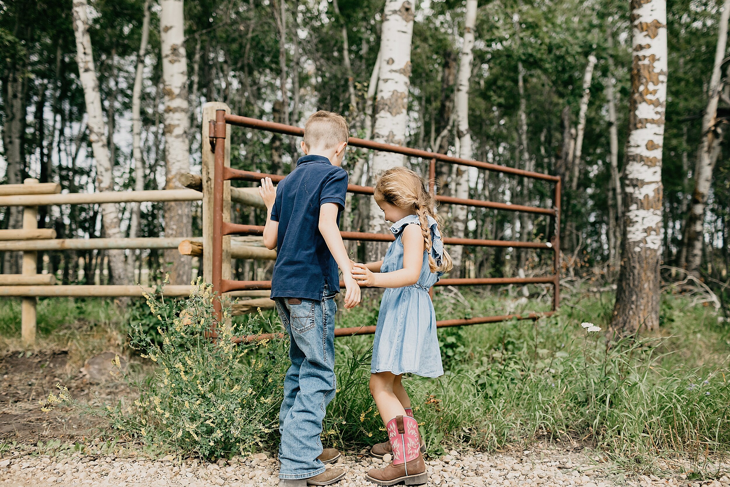 red-deer-family-photographer