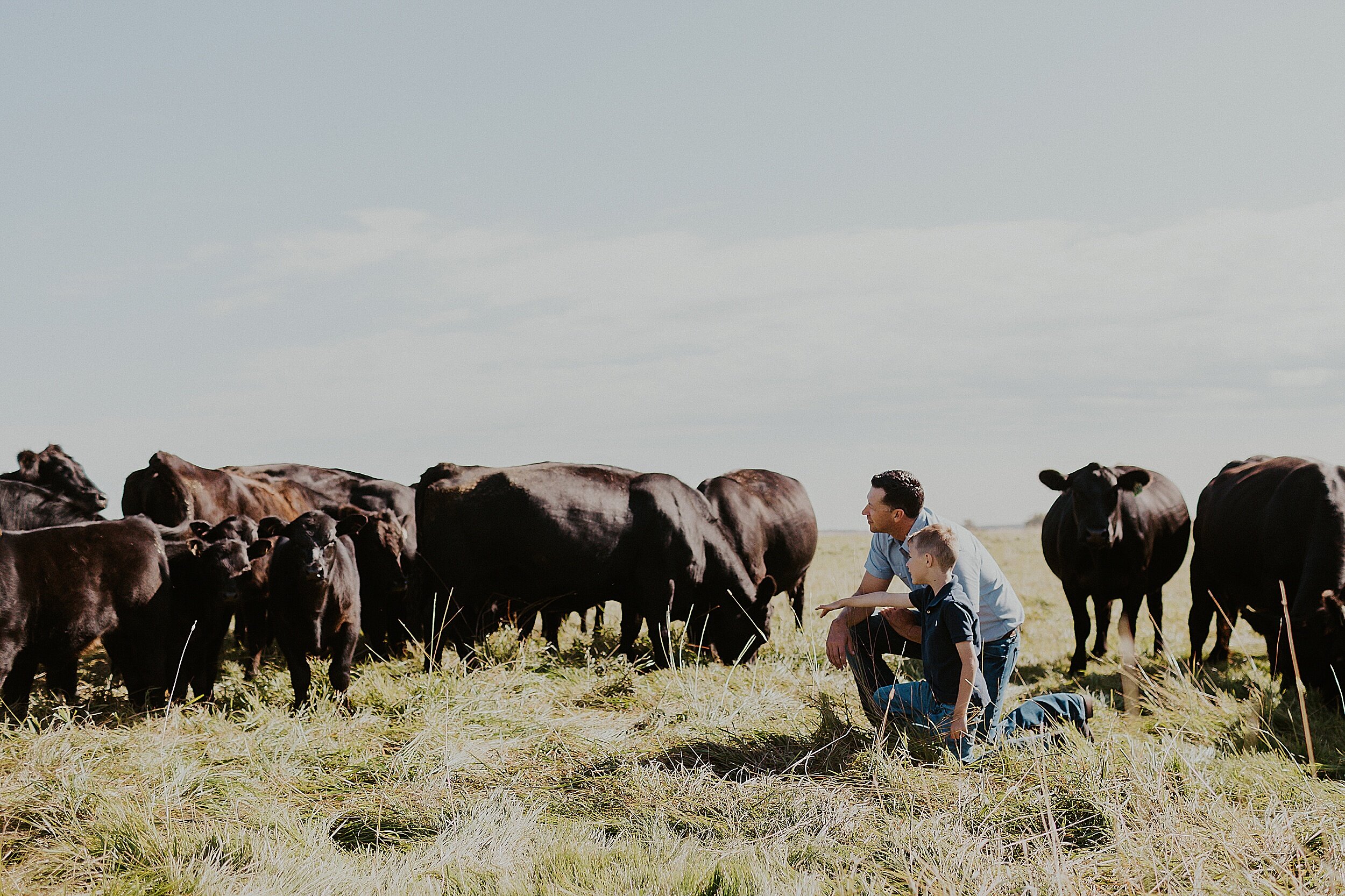 red-deer-family-photographer