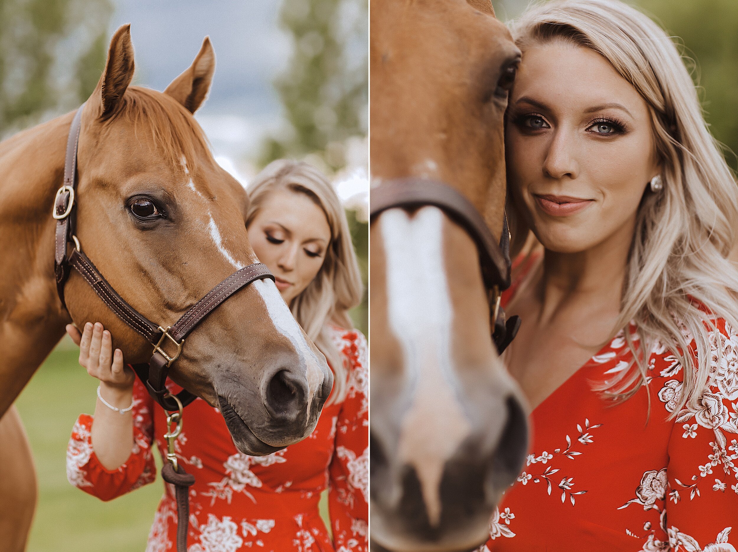 red-deer-family-photographer-horses