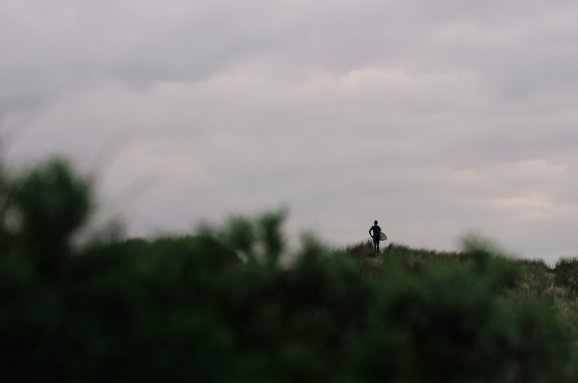 Surfer-in-the-Dunes.jpg