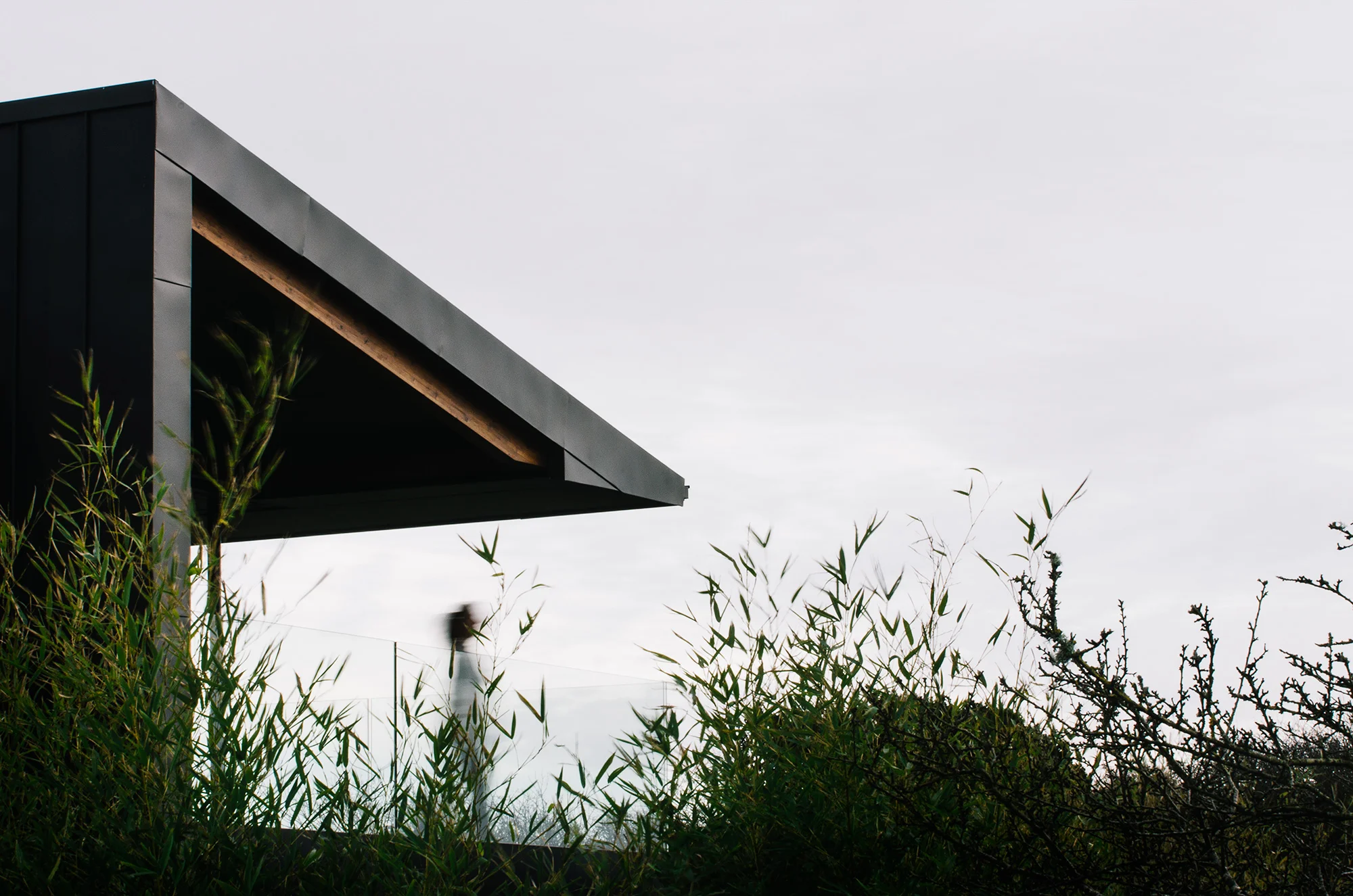 Silver House - Gower Hyde + Hyde Architects