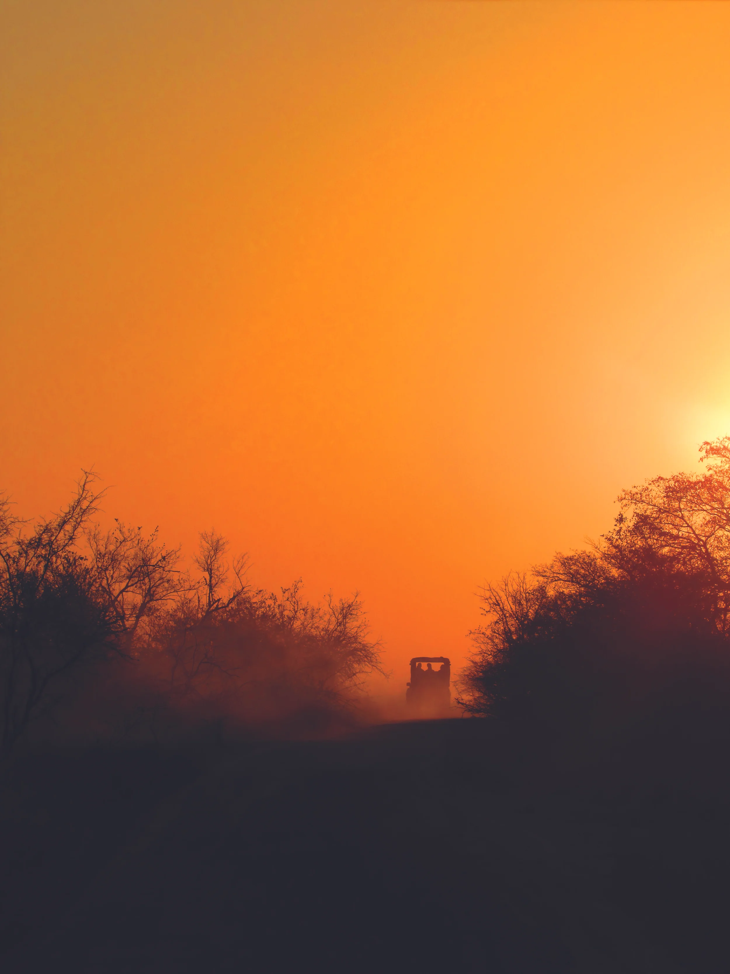 Ukyoung Chang, Once in a Lifetime Sunset