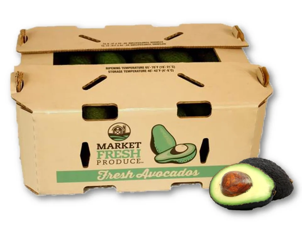 avocado with shadow 2.jpg