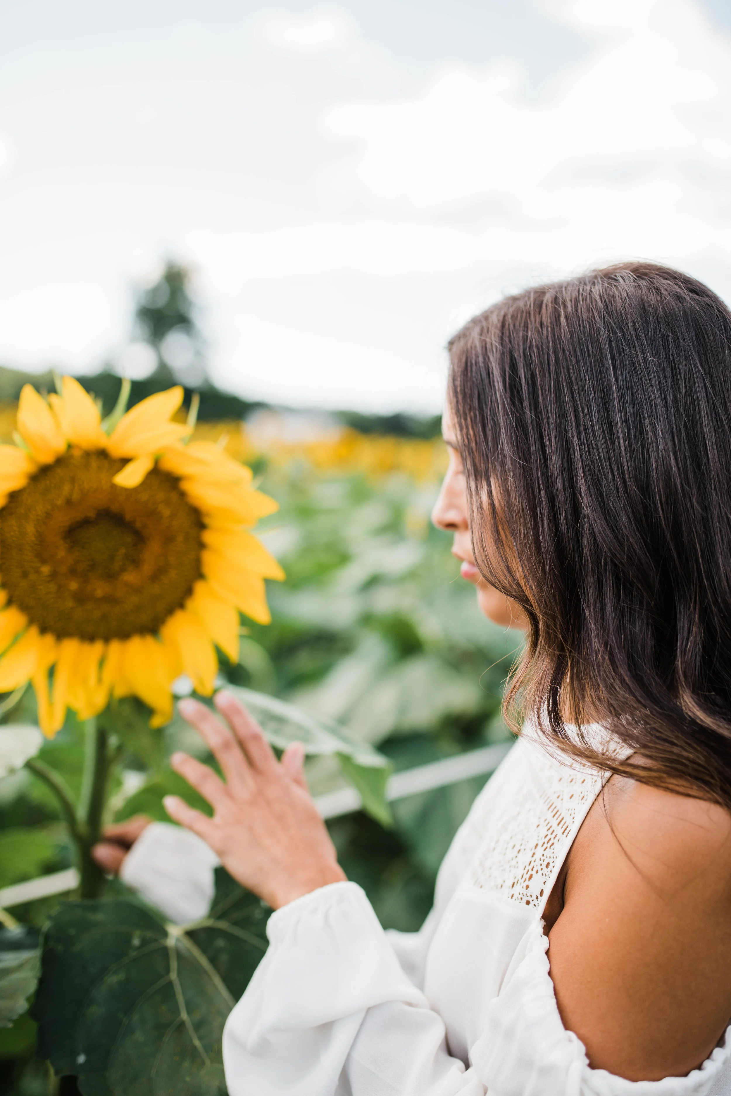 Sunflower_Bri-4881.jpg