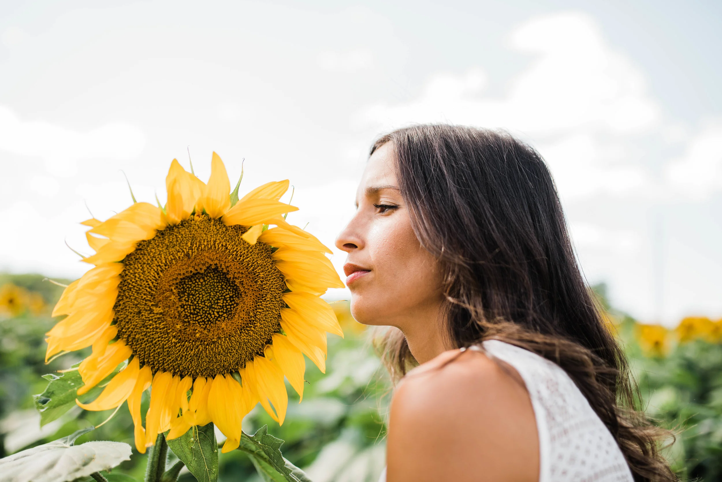 Sunflower_Bri-4887R.jpg