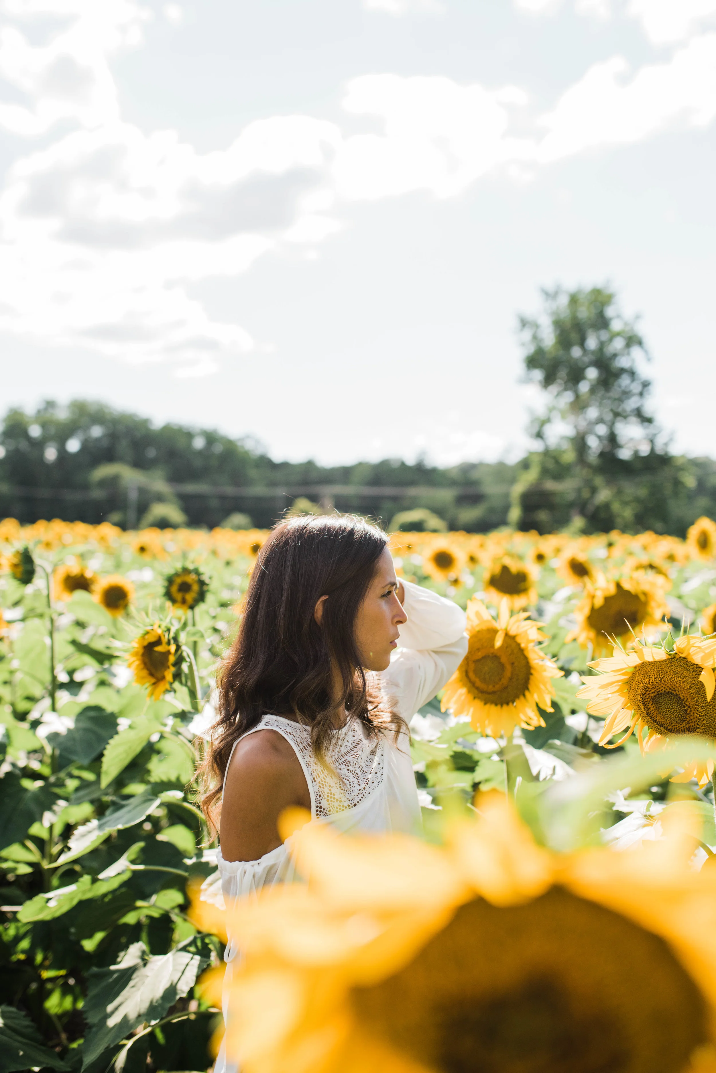 Sunflower_Bri-4928.jpg