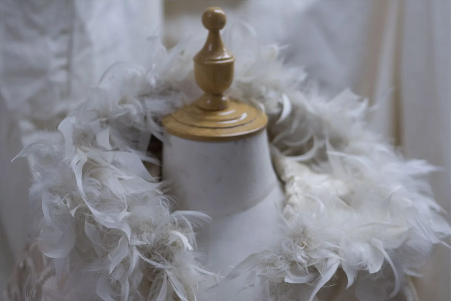 Medici Collar on Feather Cape