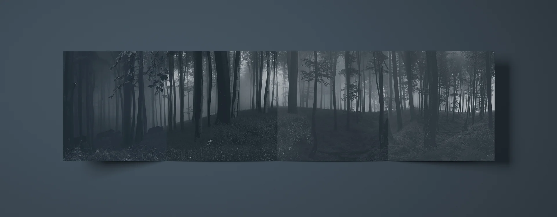 panorama-Mockup.jpg