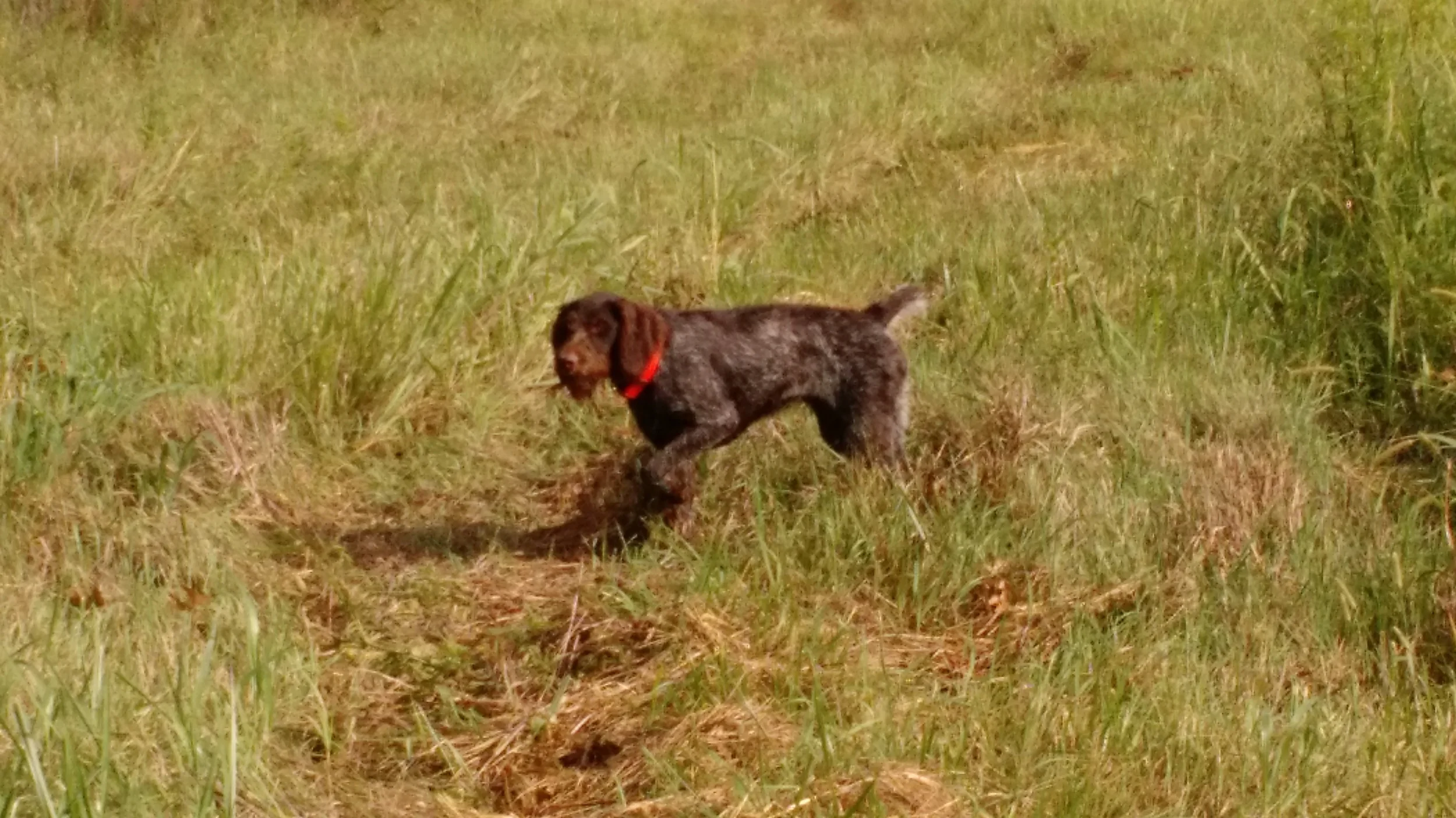 Training Overview — PeytonFarm