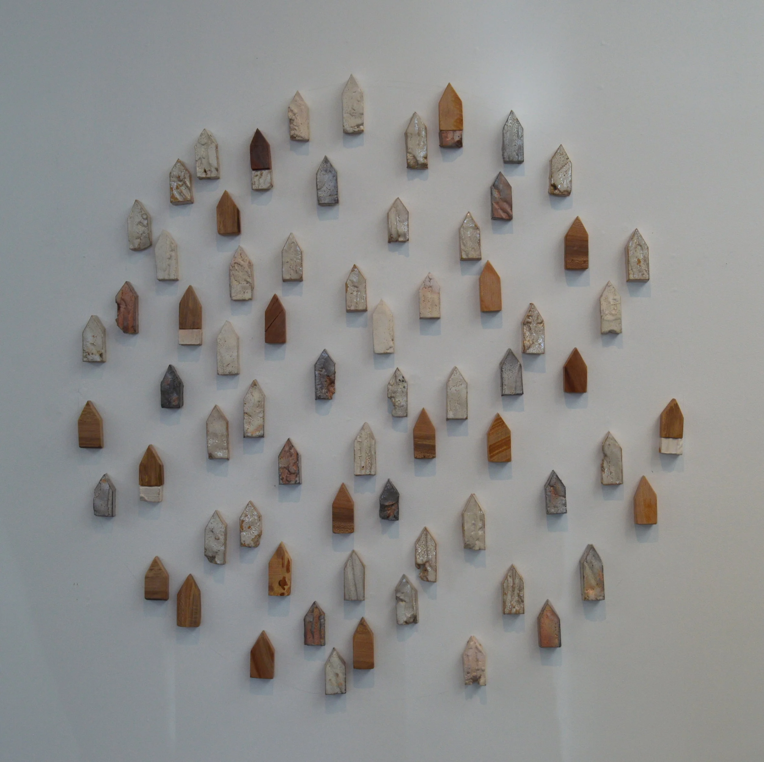 Desert Community.JPG