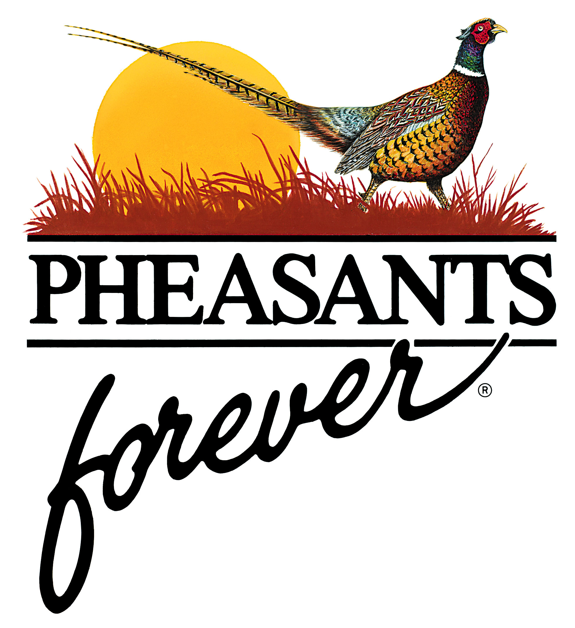 PheasantsForever.jpg