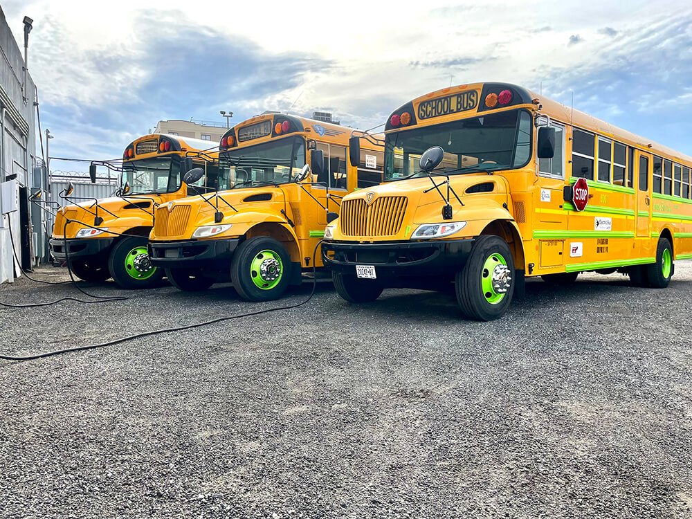 green-bus-3.jpg