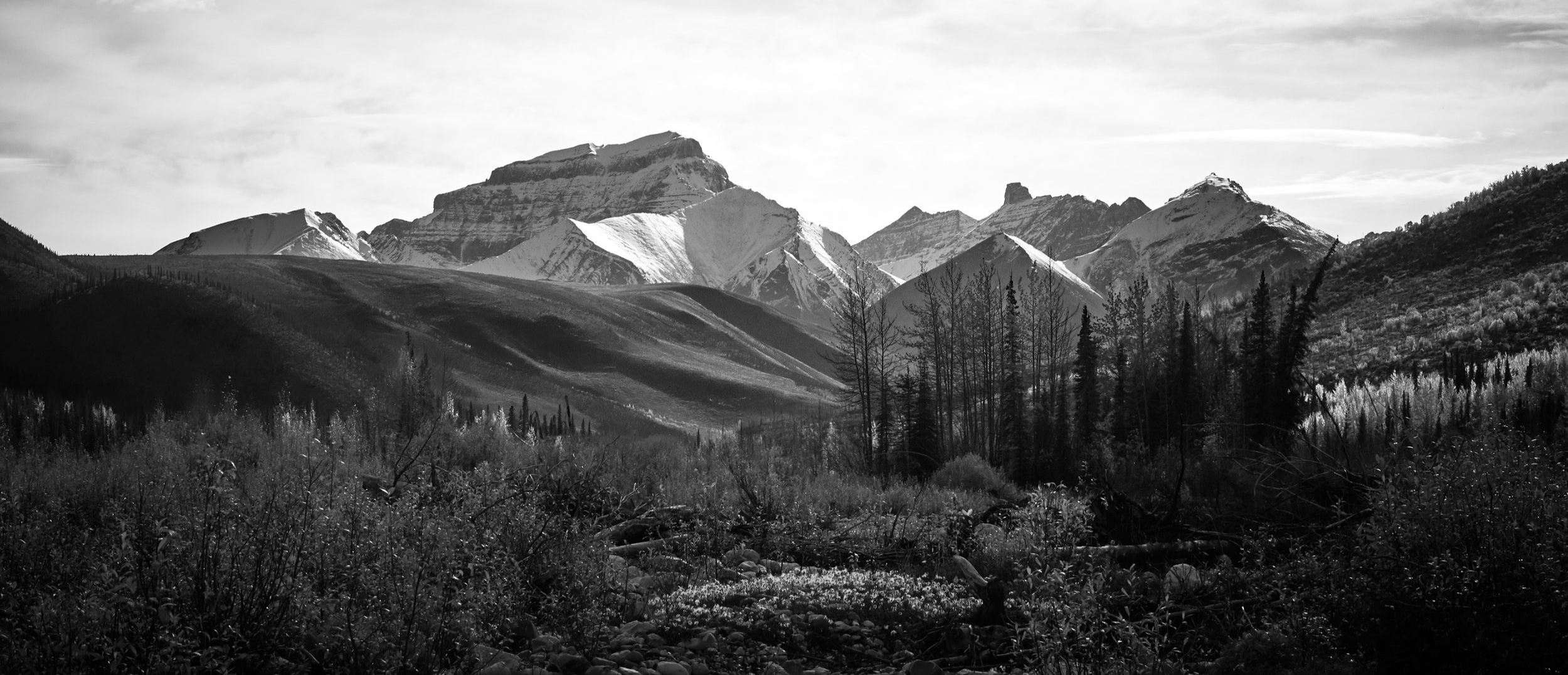 _MG_1308+2.jpg