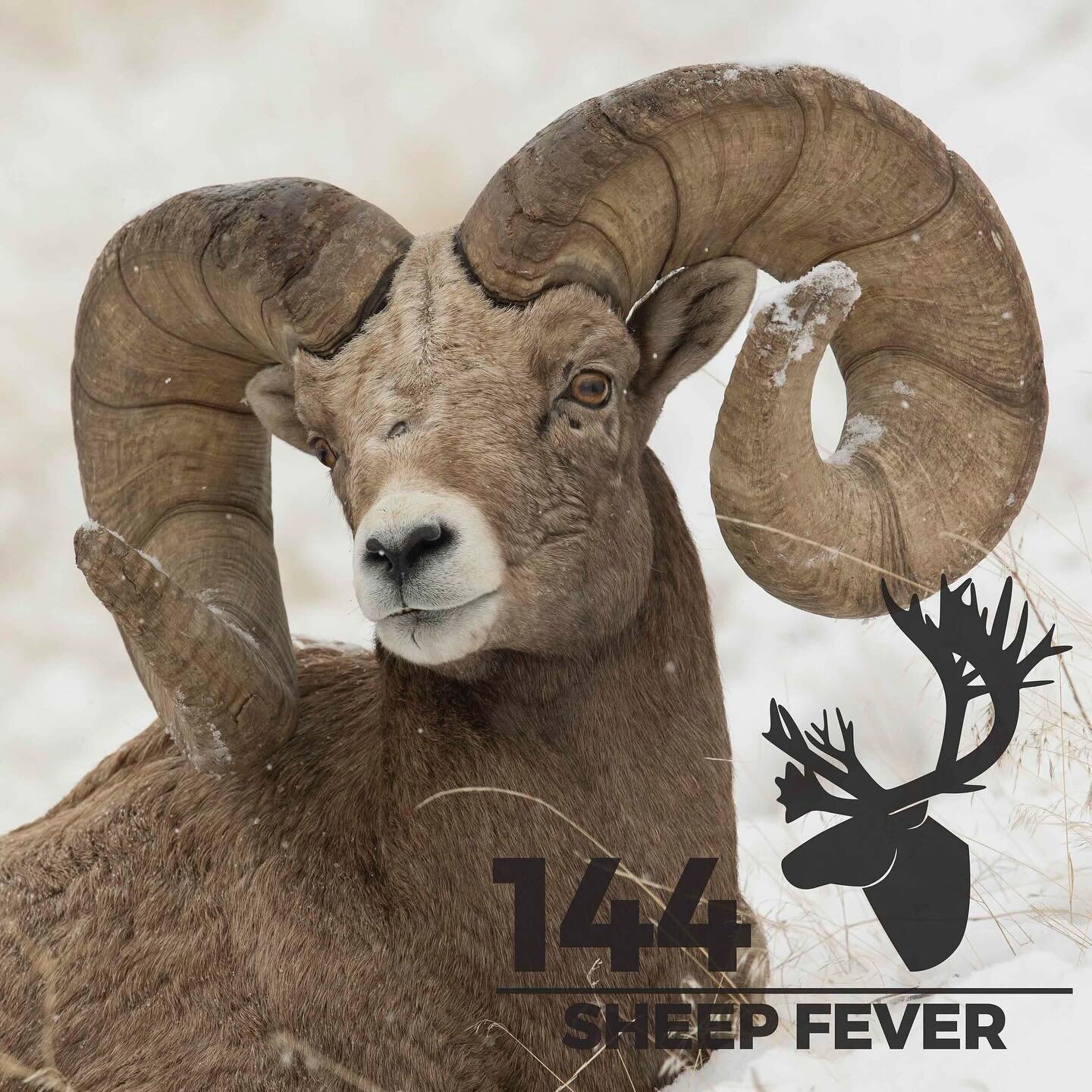 Today we welcome @graynthornton and @keithbalfourd from @wildsheepfoundation to talk all things sheep. You&rsquo;ll hear some highlights for Sheep Show 2024 (register now), info about WSF&rsquo;s incredible Women Hunt Program, you&rsquo;ll get a grea