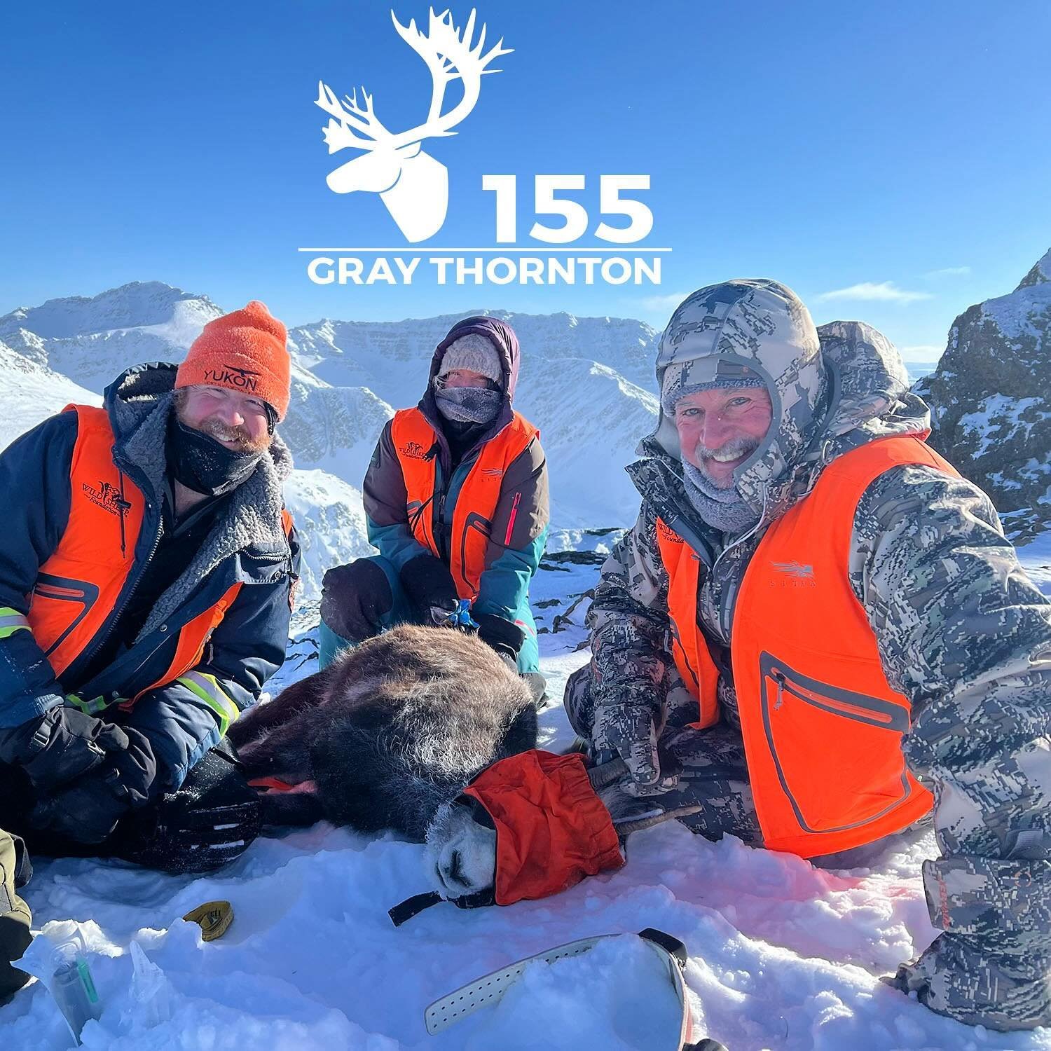 Can inclusion of the non-hunting community influence AI? Apparently it can! In case you missed it, Mike had a great chat with @wildsheepfoundation President and CEO @graynthornton a few weeks back and they covered all kinds of topics including AI, fi