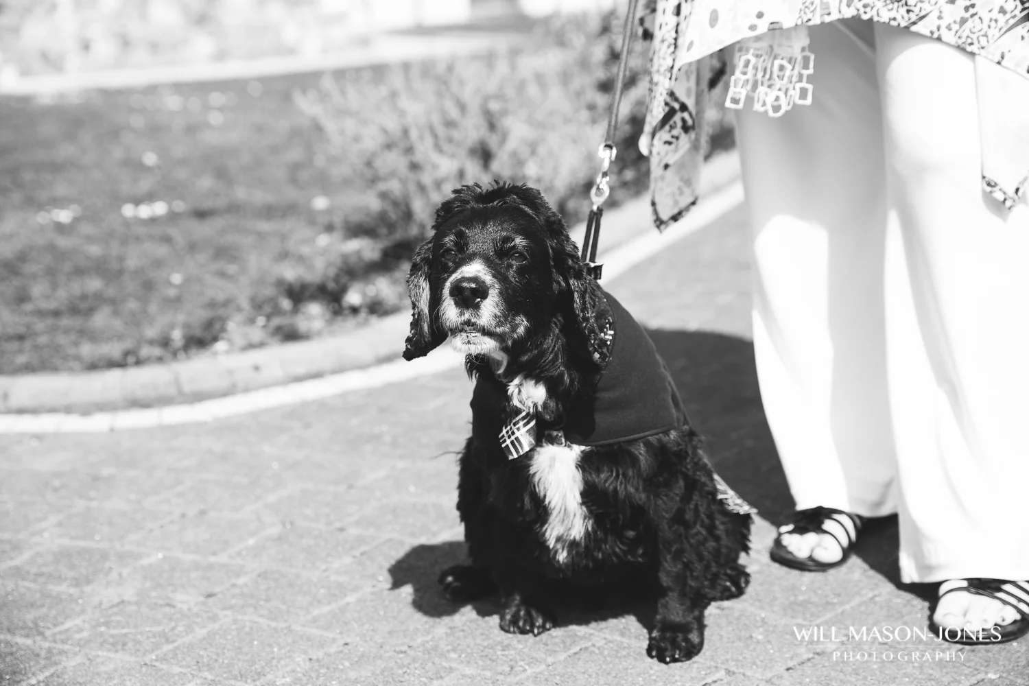 oldwallswedding-224.jpg