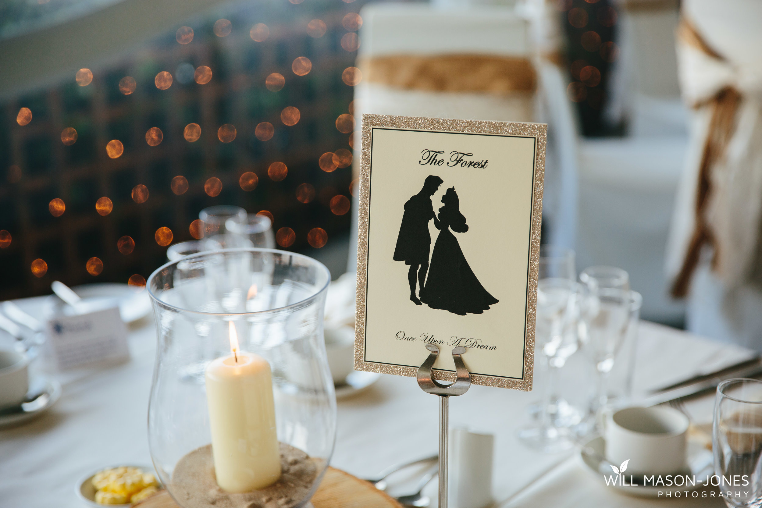 Aimi&David-358.jpg