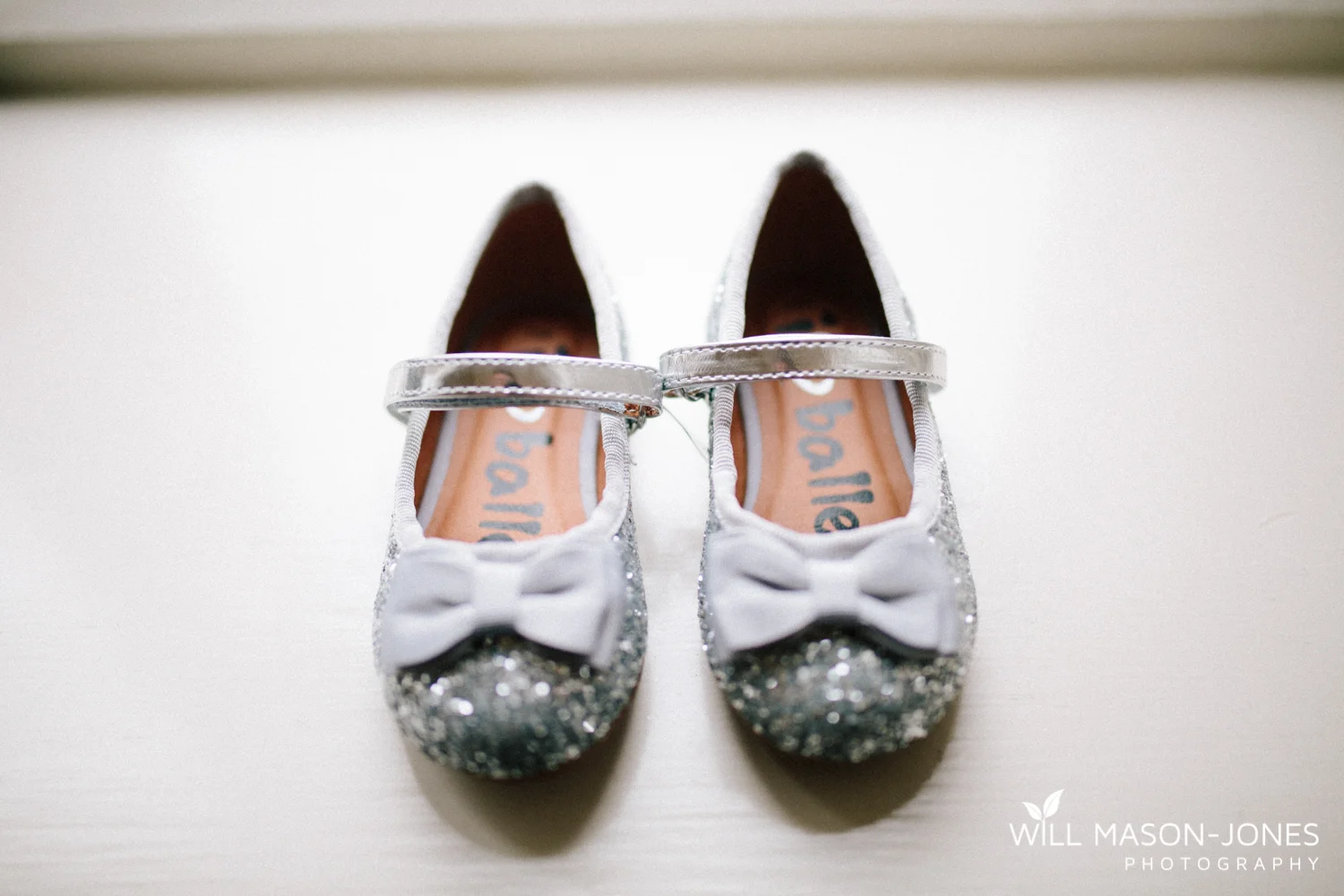  coed-y-mwstwr-welsh-wedding-photography 