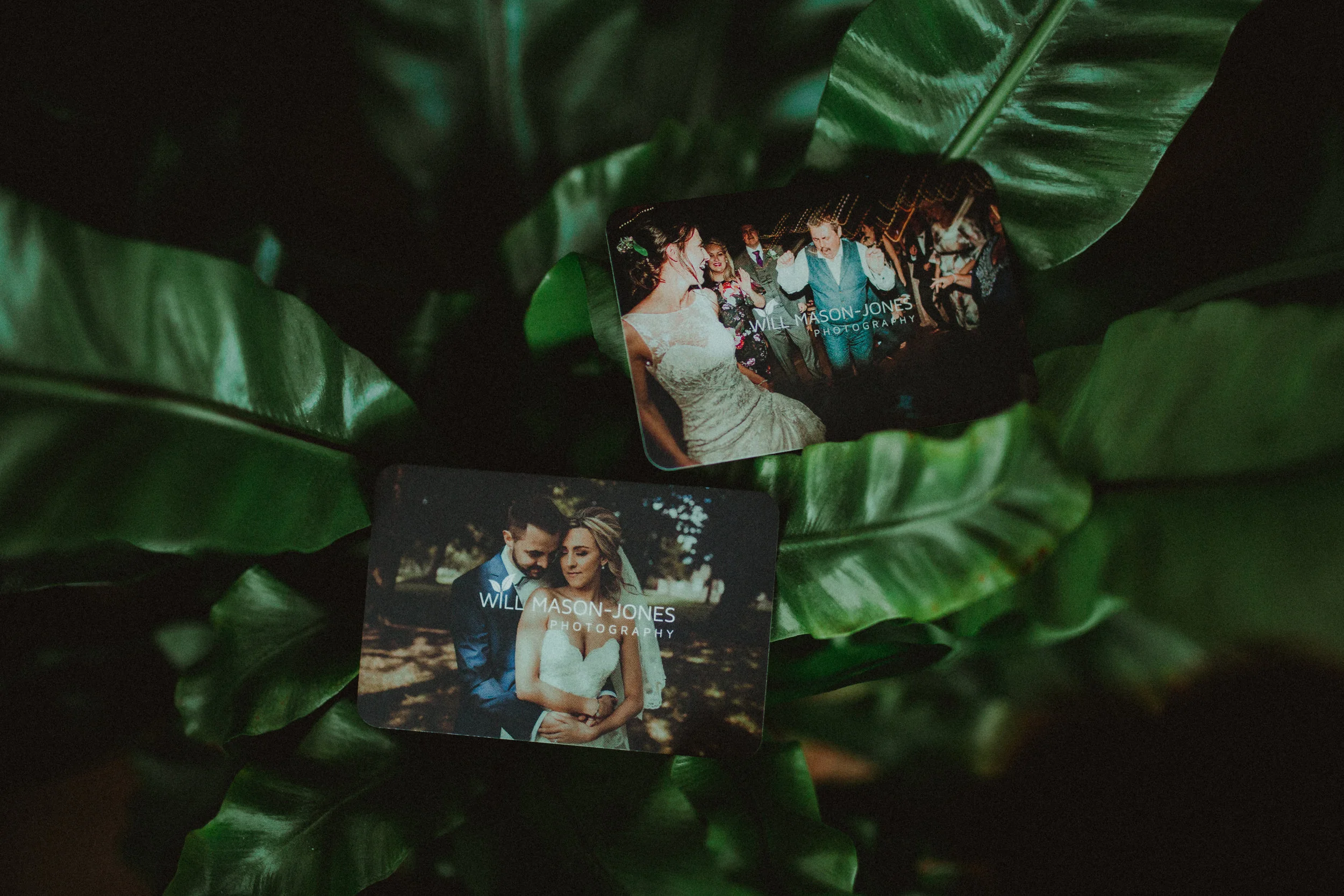 BUSINESS CARDS-2.jpg