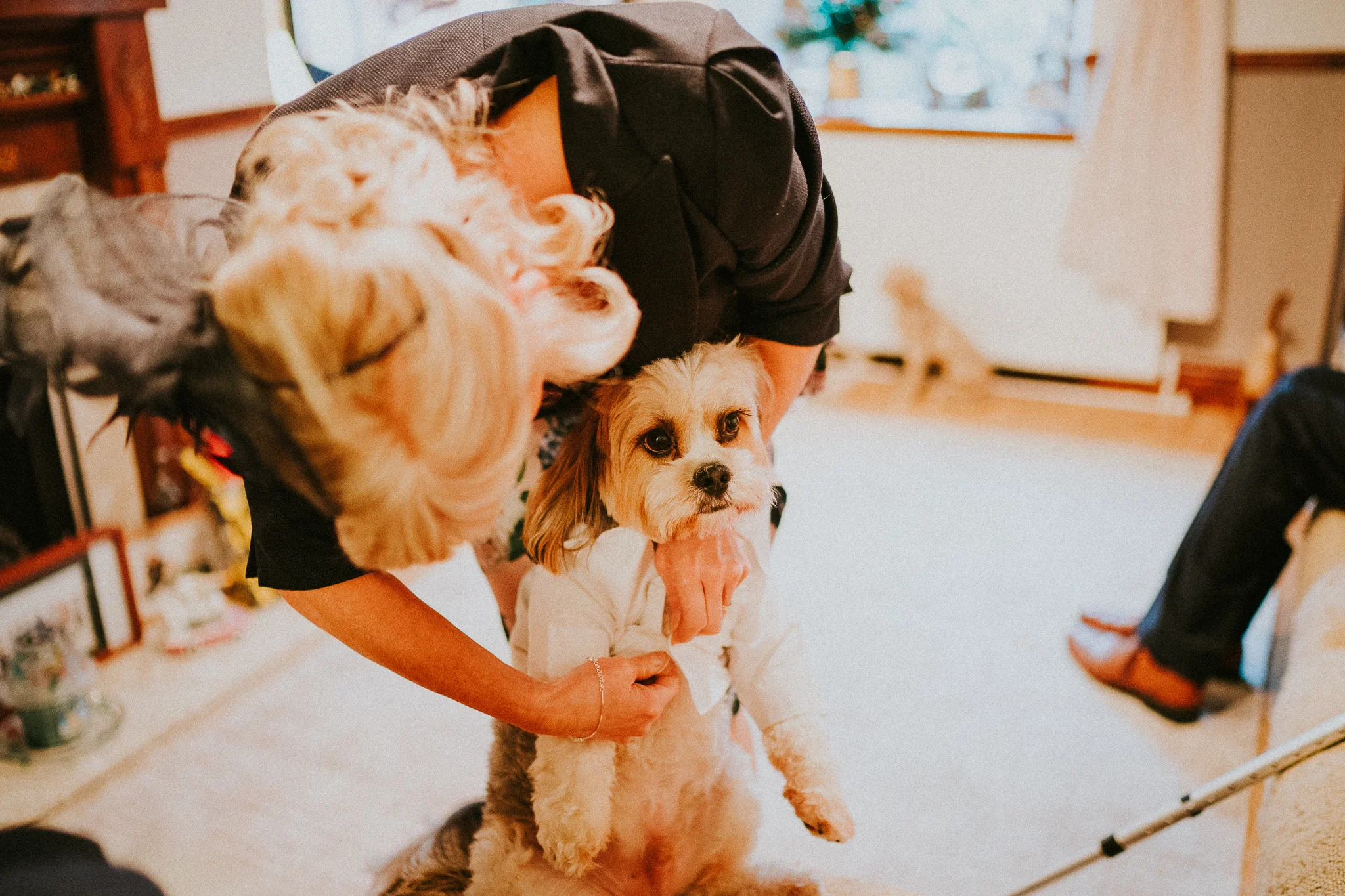 oldwalls-winter-wedding-photographers-swansea-dog-ringbearer