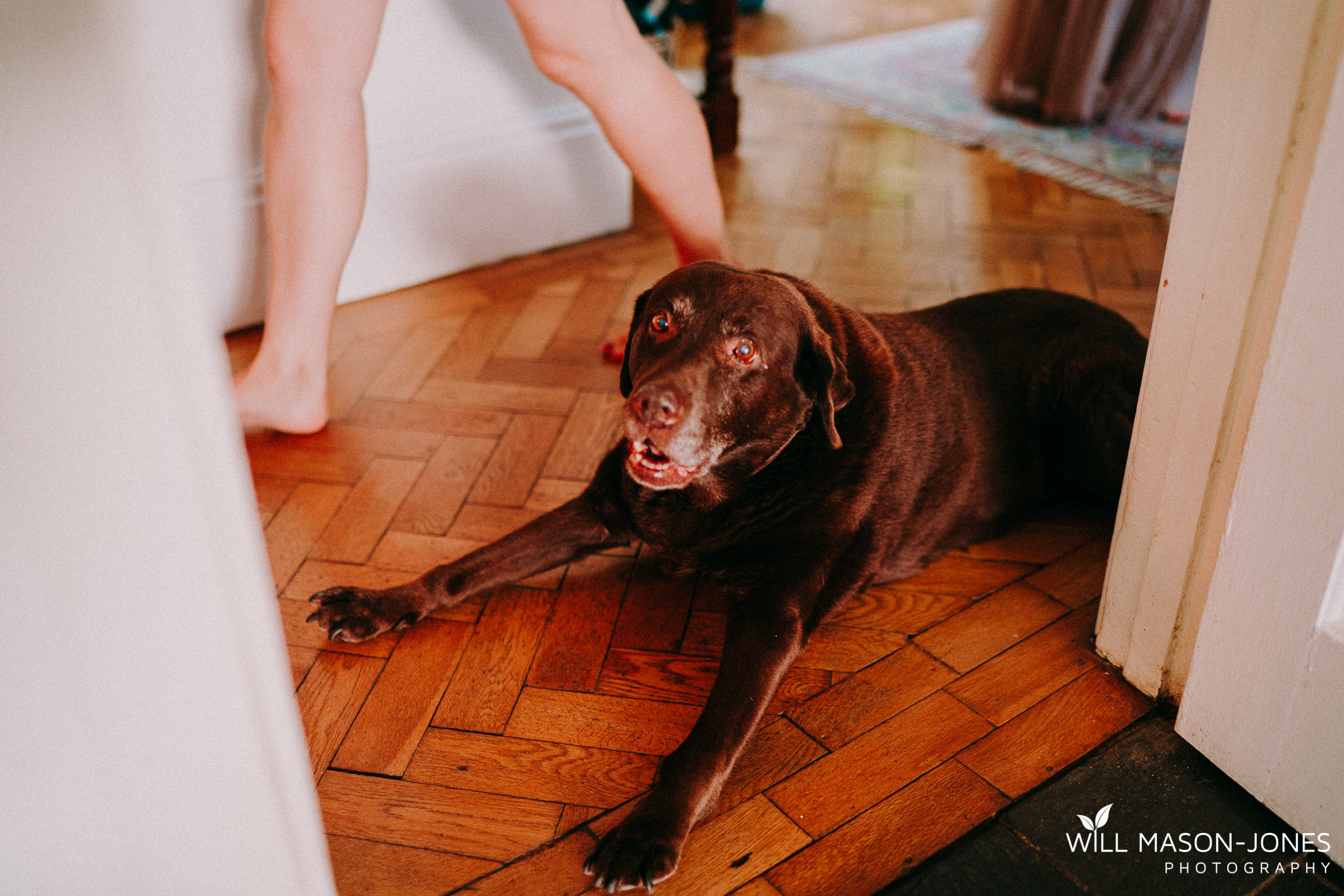  colourful fun relaxed bridal prep photography swansea wedding 