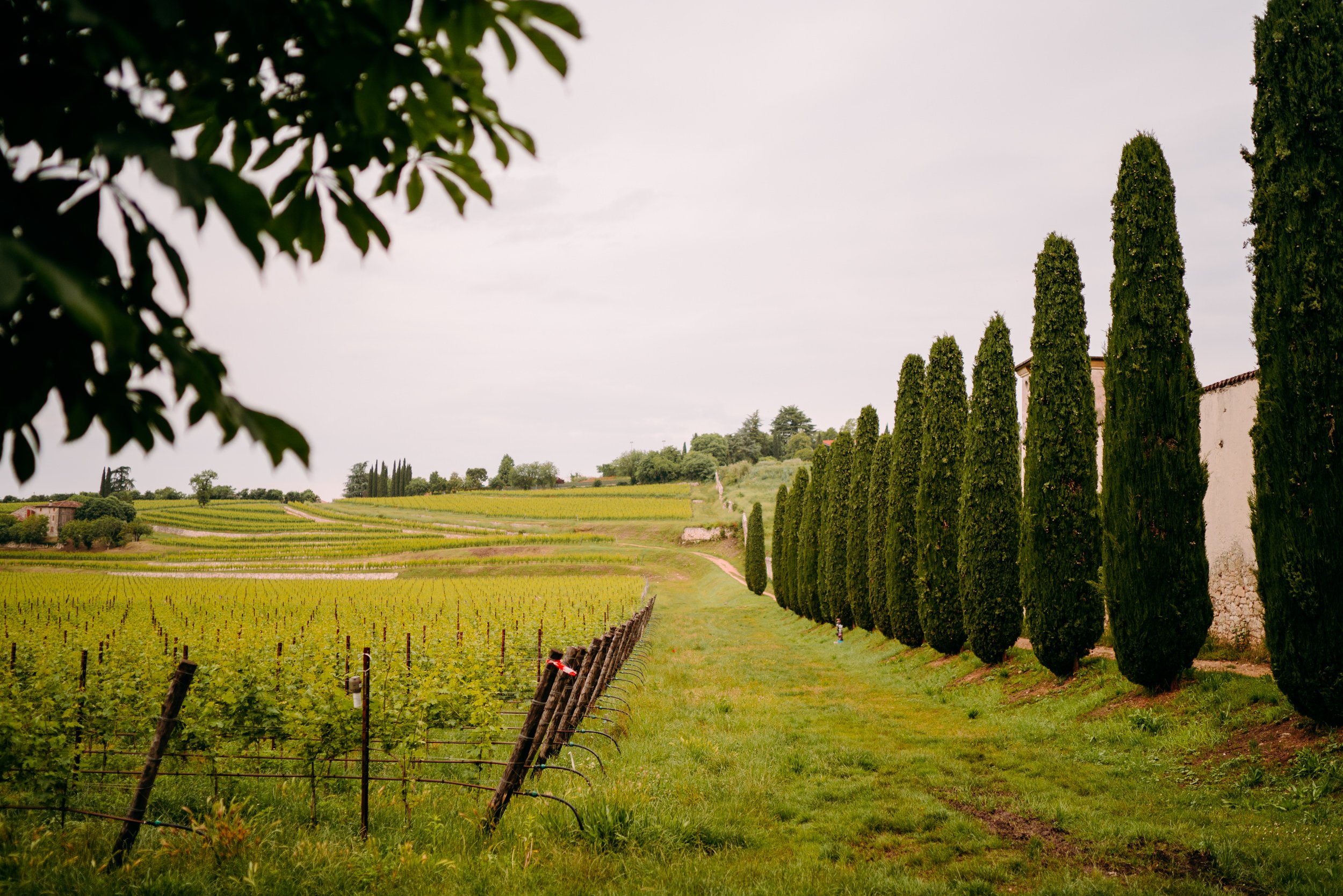  destination wedding photographer UK verona italy fun and relaxed mosconi bertani 