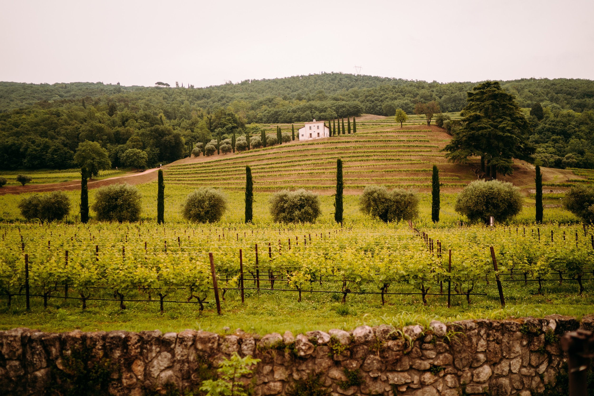  destination wedding photographer UK verona italy fun and relaxed mosconi bertani 