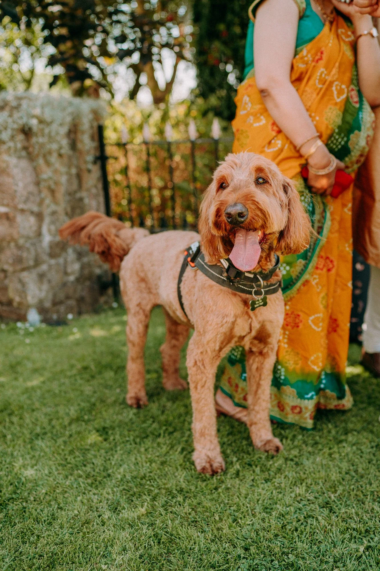 king-arthur-swansea-hindu-fusion-wedding-photographers-outdoors-95.jpg