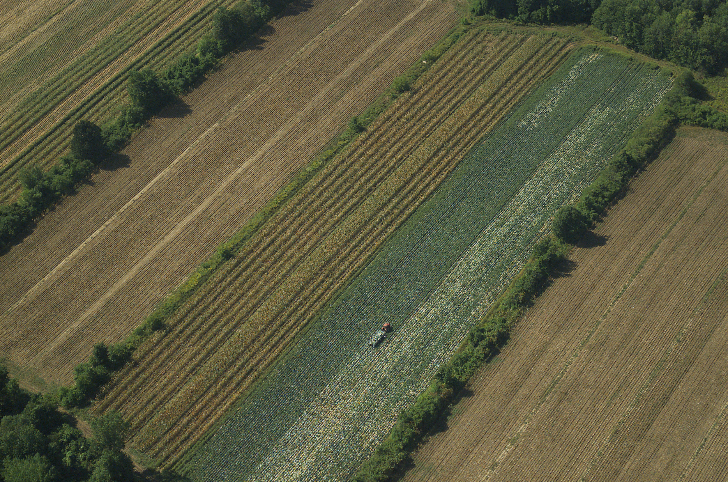 Farming, Quebec