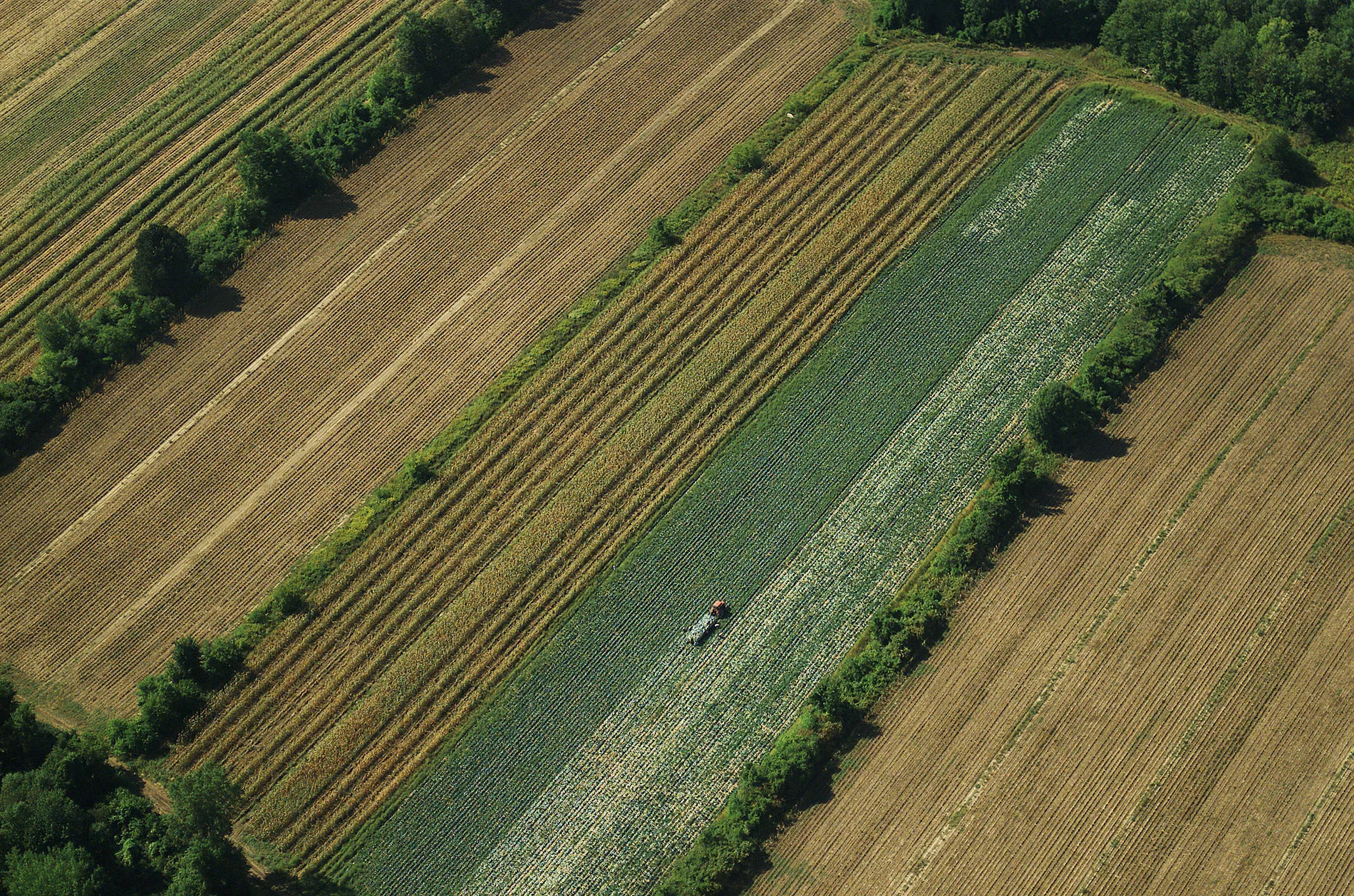 Aerial-fields001W.jpg