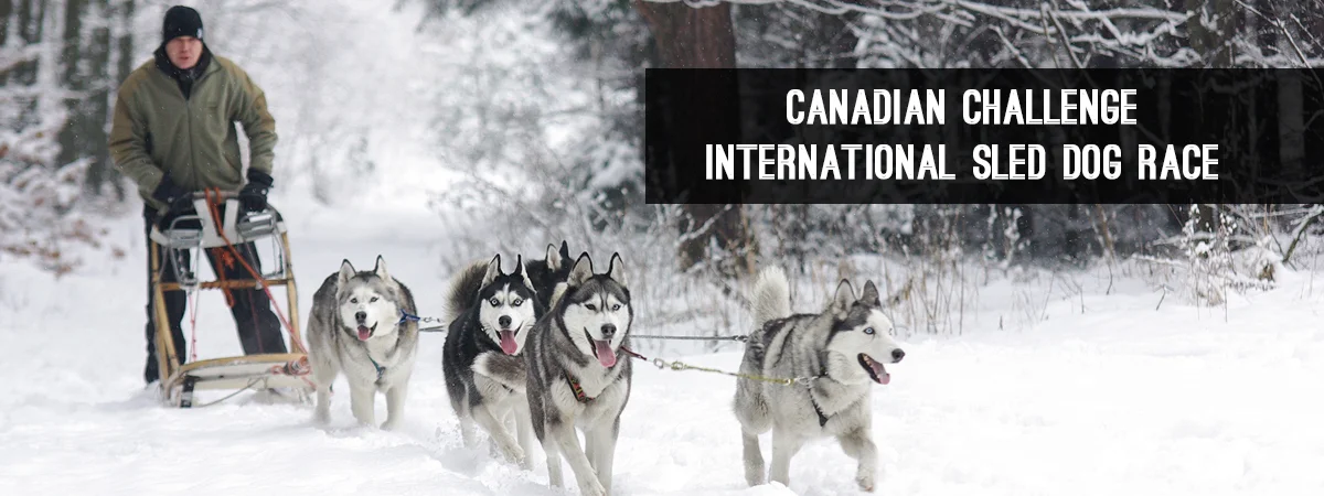 EKR_WBS_Event_DogSled.jpg