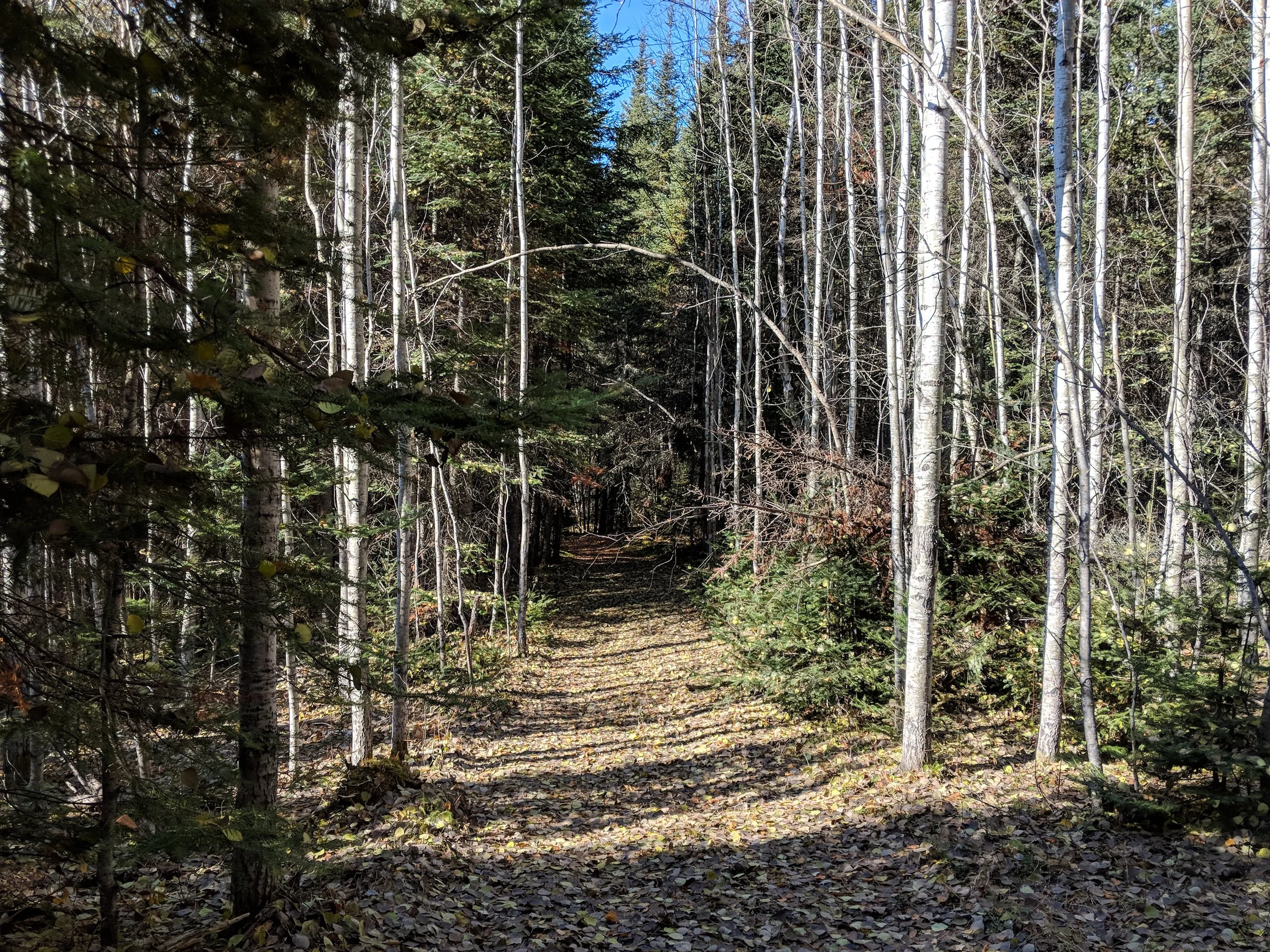 2018-10-05 12.36.01.jpg