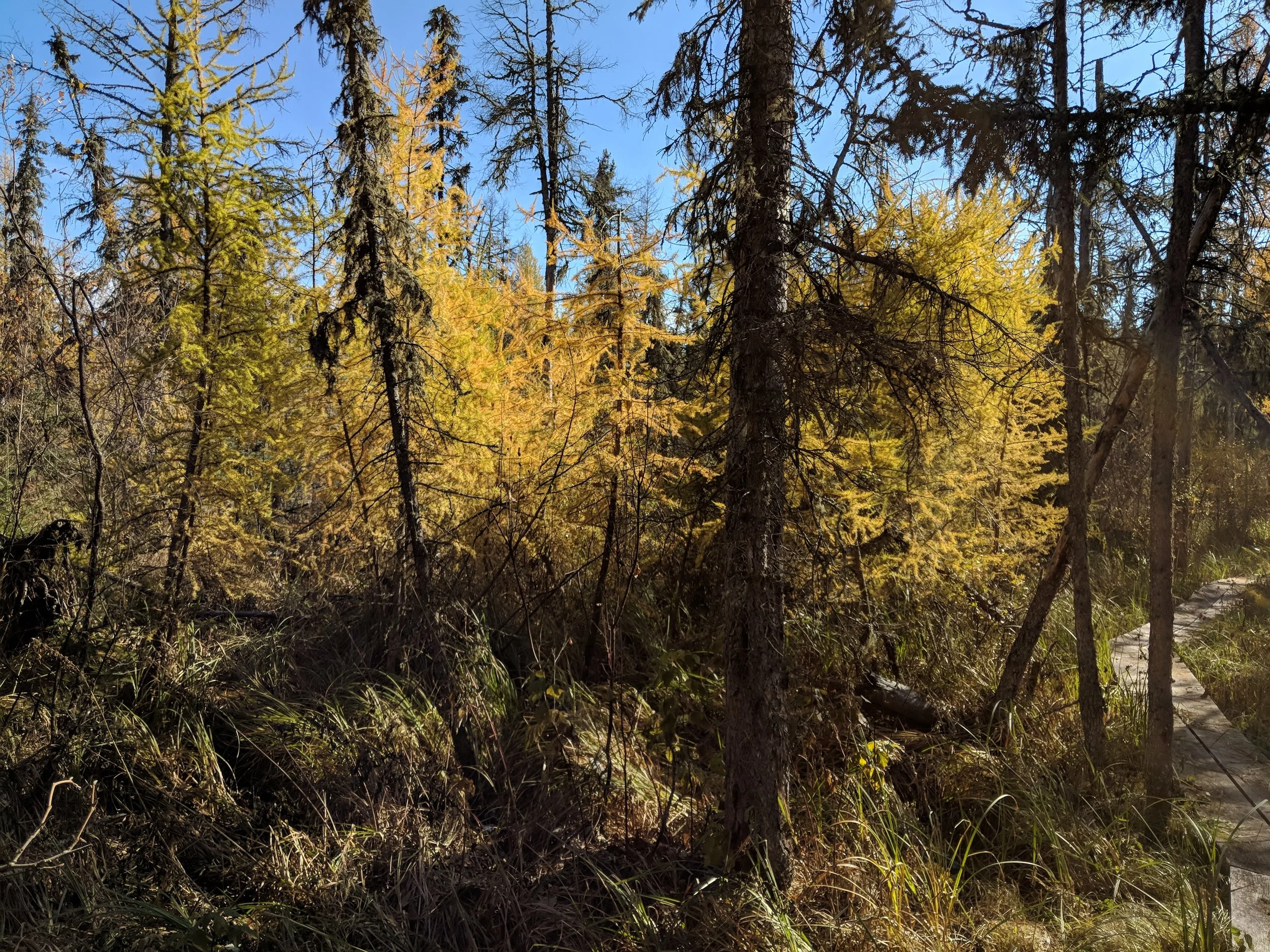 2018-10-05 12.49.57.jpg